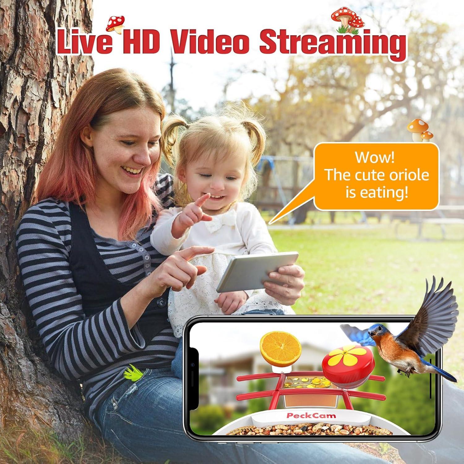 Comedero Inteligente PeckCam con Cámara 2K y Solar