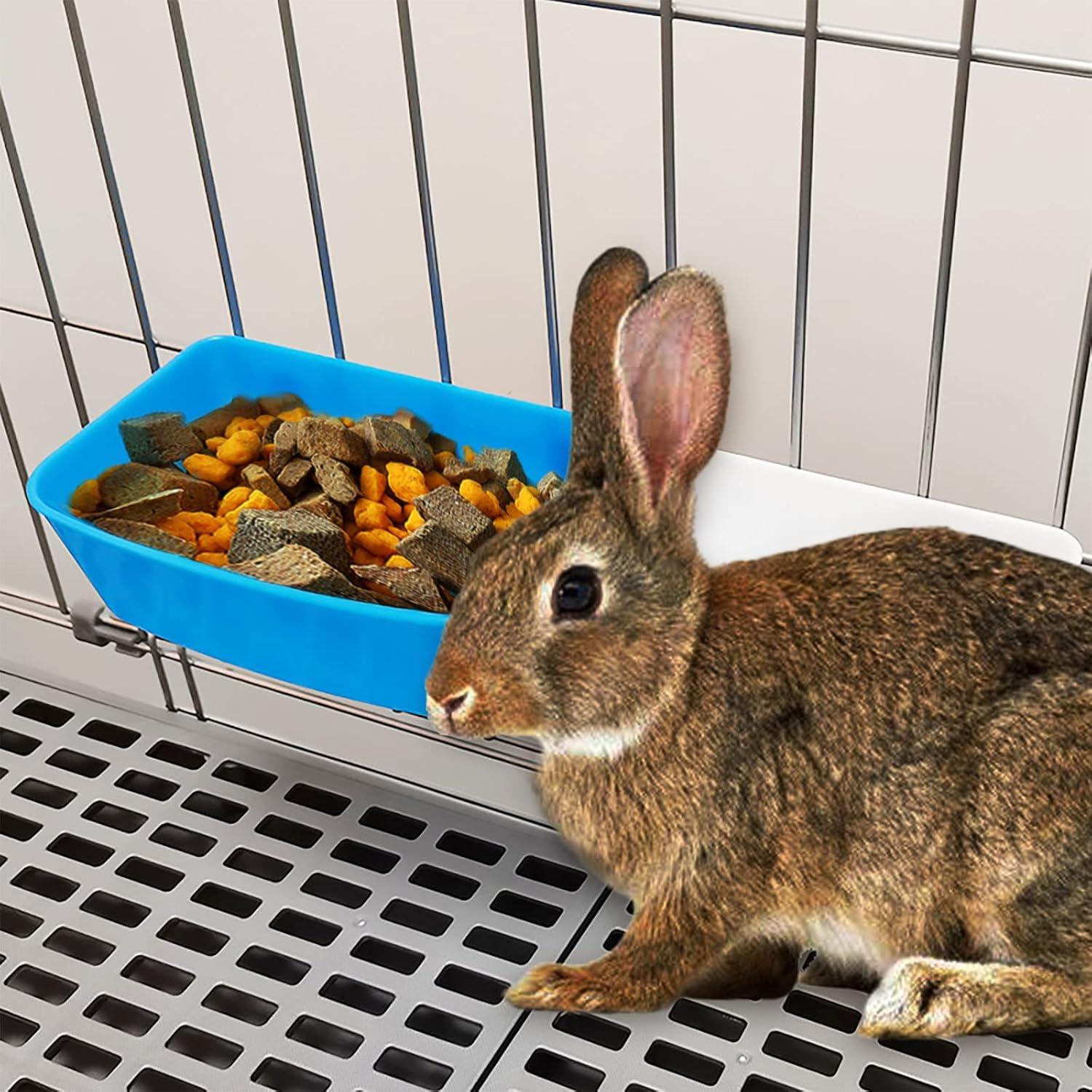 Paquete de 26 tazas para mascotas 21 oz (621 ml) AMZSYLV