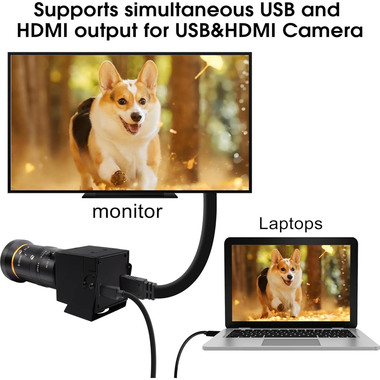 Cámara Web 4K Hotpet con Lente Varifocal 5-50mm USB