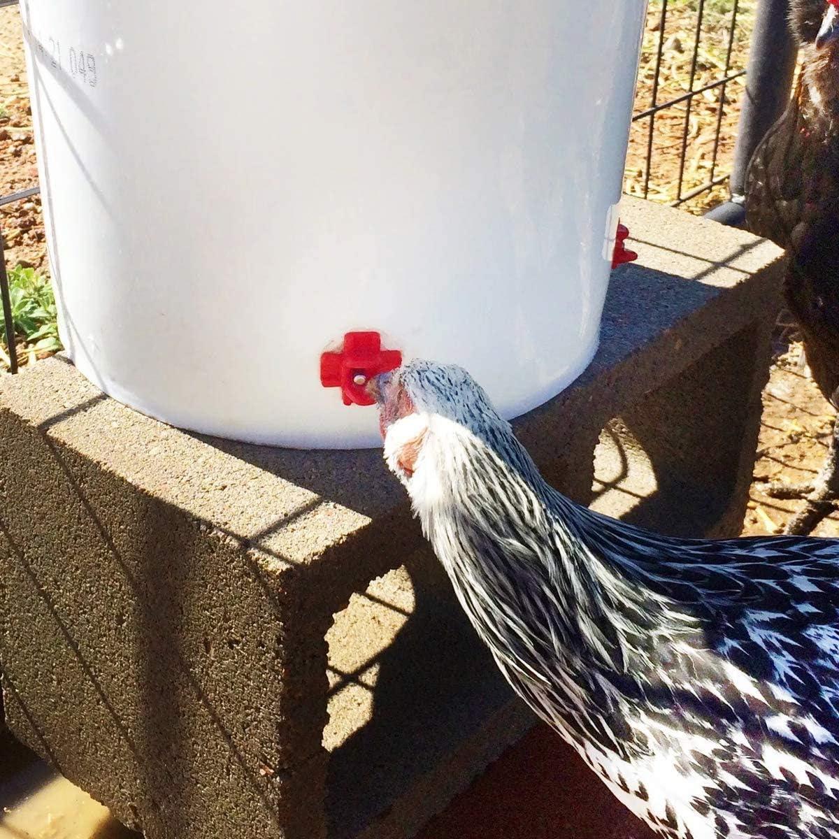 40 Picos de Agua Horizontal MEWTOGO para Pollos y Aves