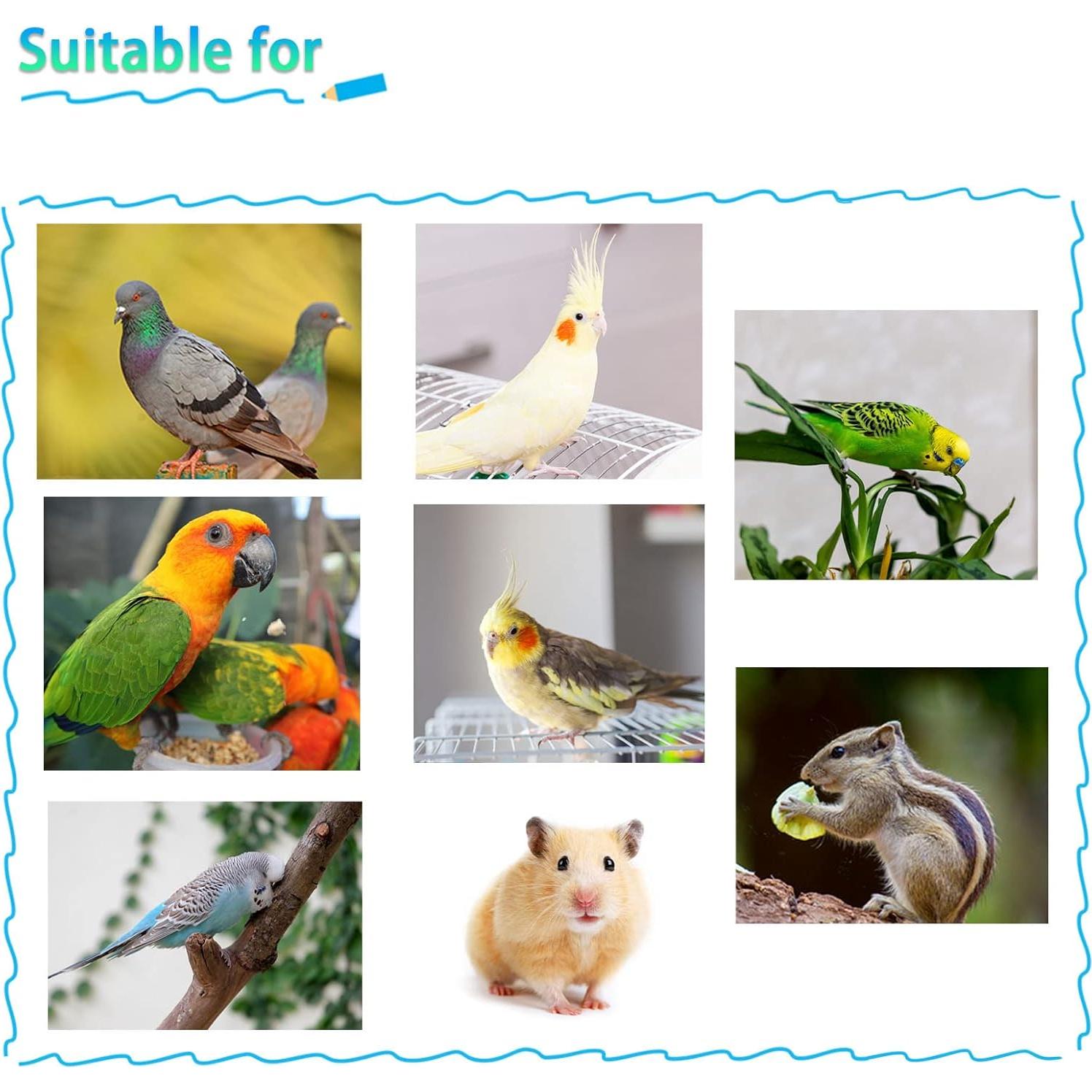 Tazas de Comedero para Loros Kathson Acero Inoxidable 2 Pcs