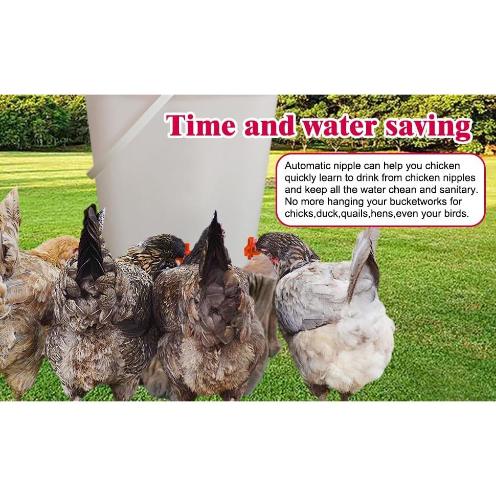 6 Bebederos Automáticos para Pollos Cyrading Naranja 3x3 cm