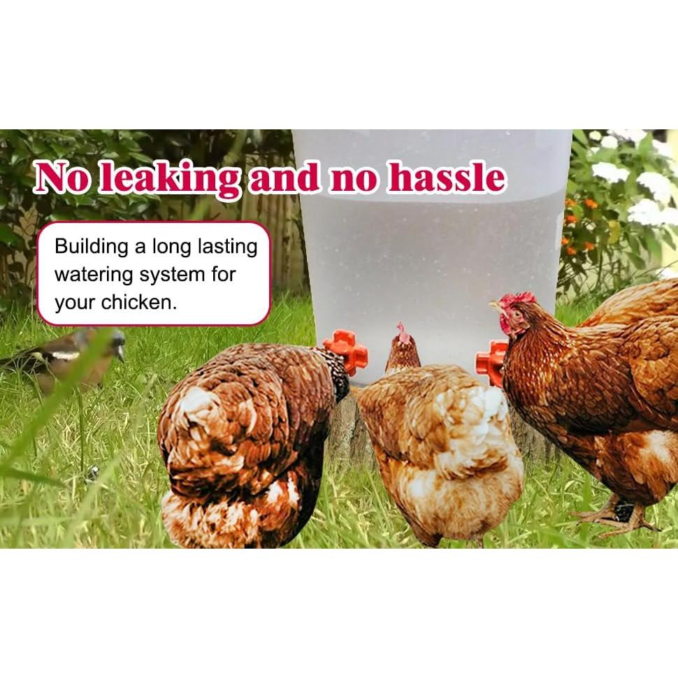 6 Bebederos Automáticos para Pollos Cyrading Naranja 3x3 cm