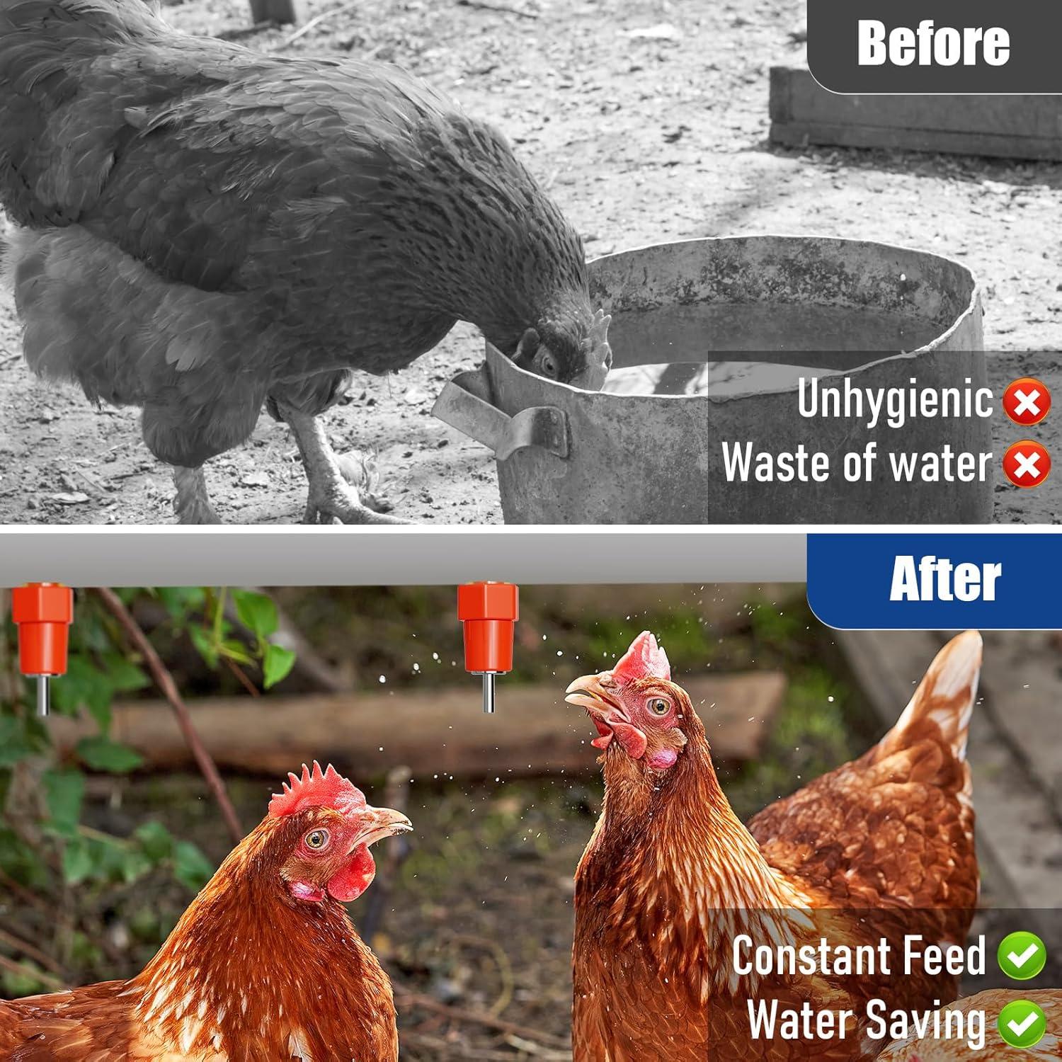 Bebedores Automáticos para Pollos Livestocktool 25 Piezas