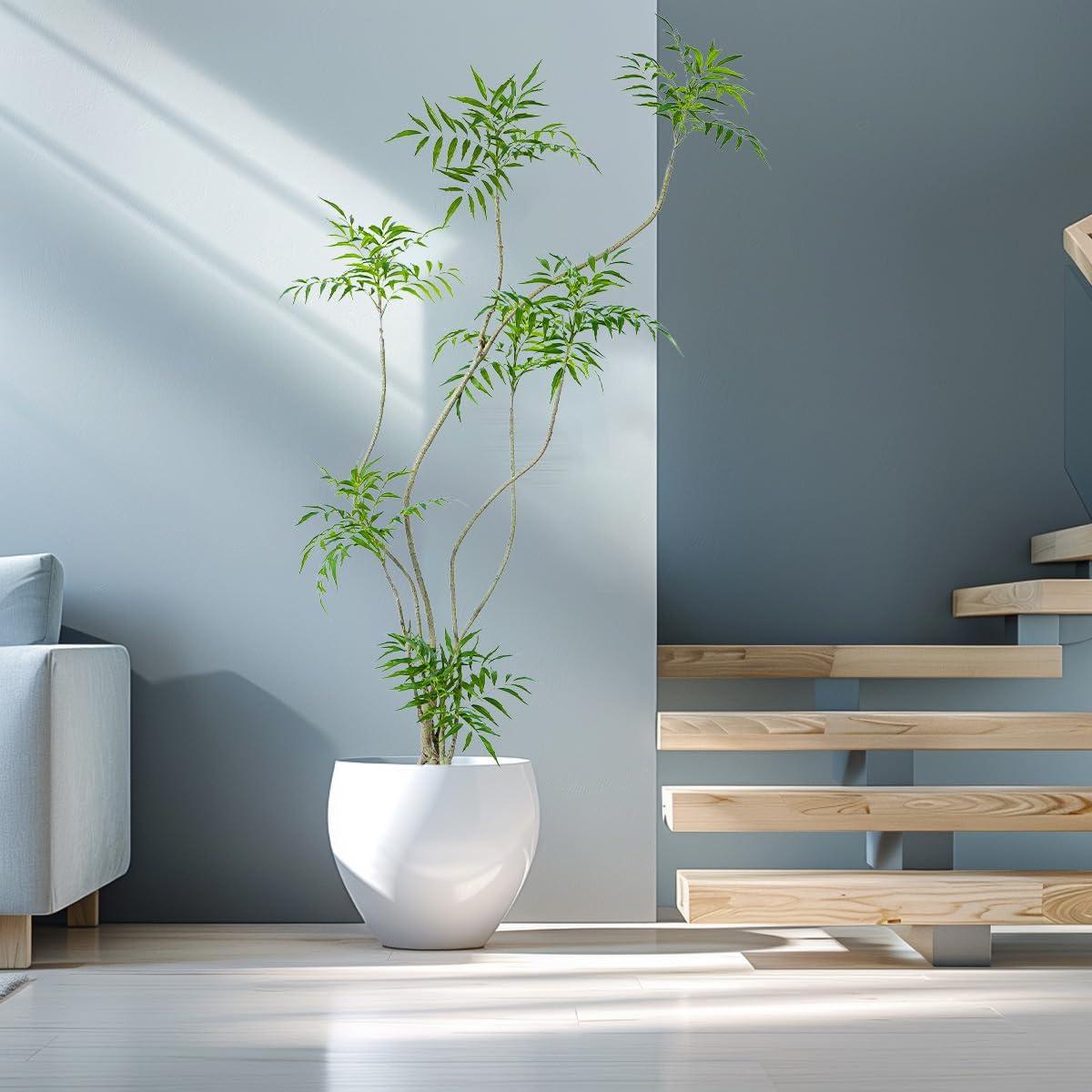 Árbol Artificial Mahonia Fortunei AfanD 182 cm Verde