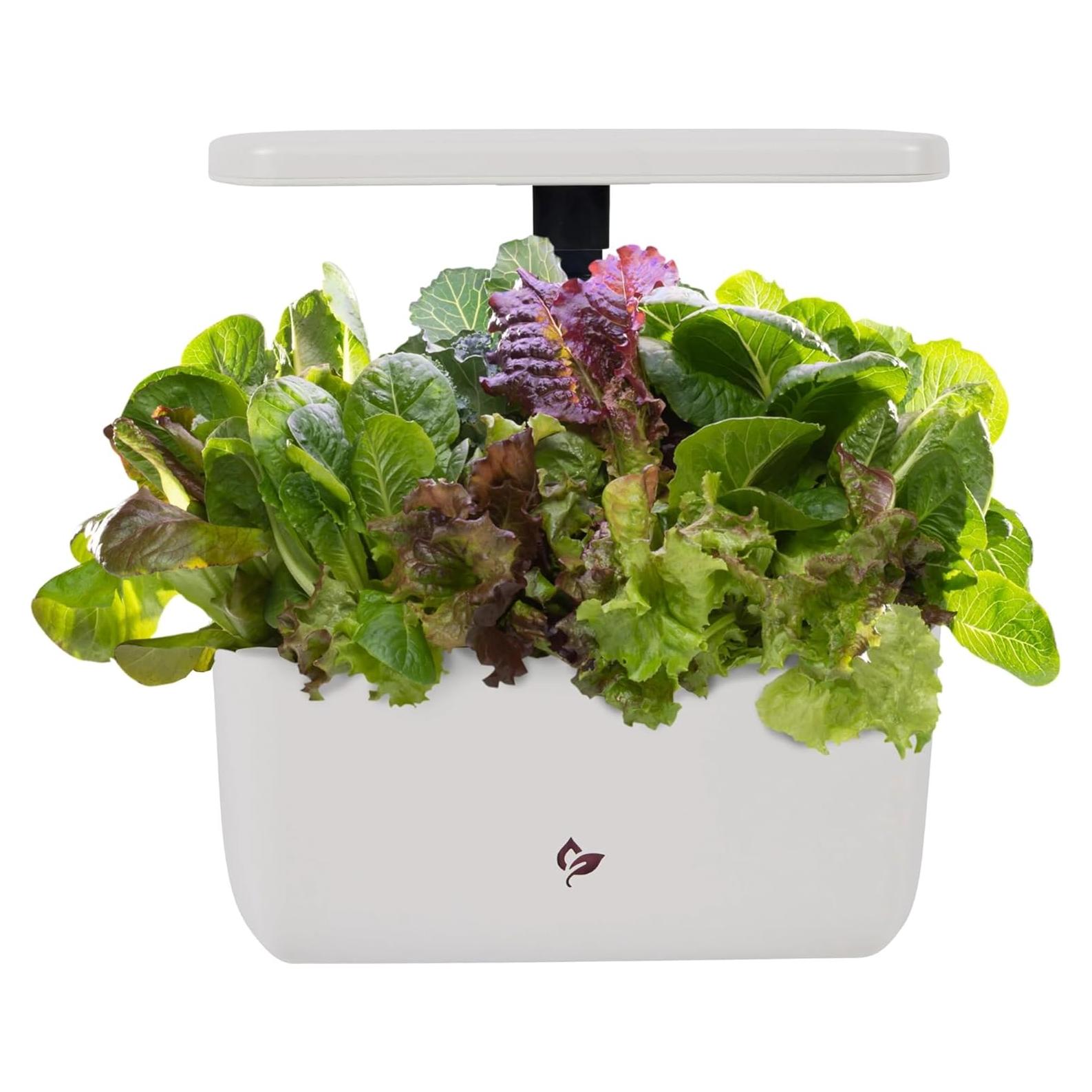 AeroGarden Harvest 2.0 Jardín Hidropónico 6 Cápsulas Crema