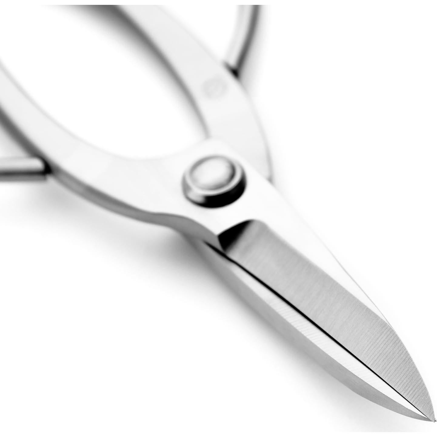 Tijeras de Poda de Raíces TianBonsai T 160 160 mm