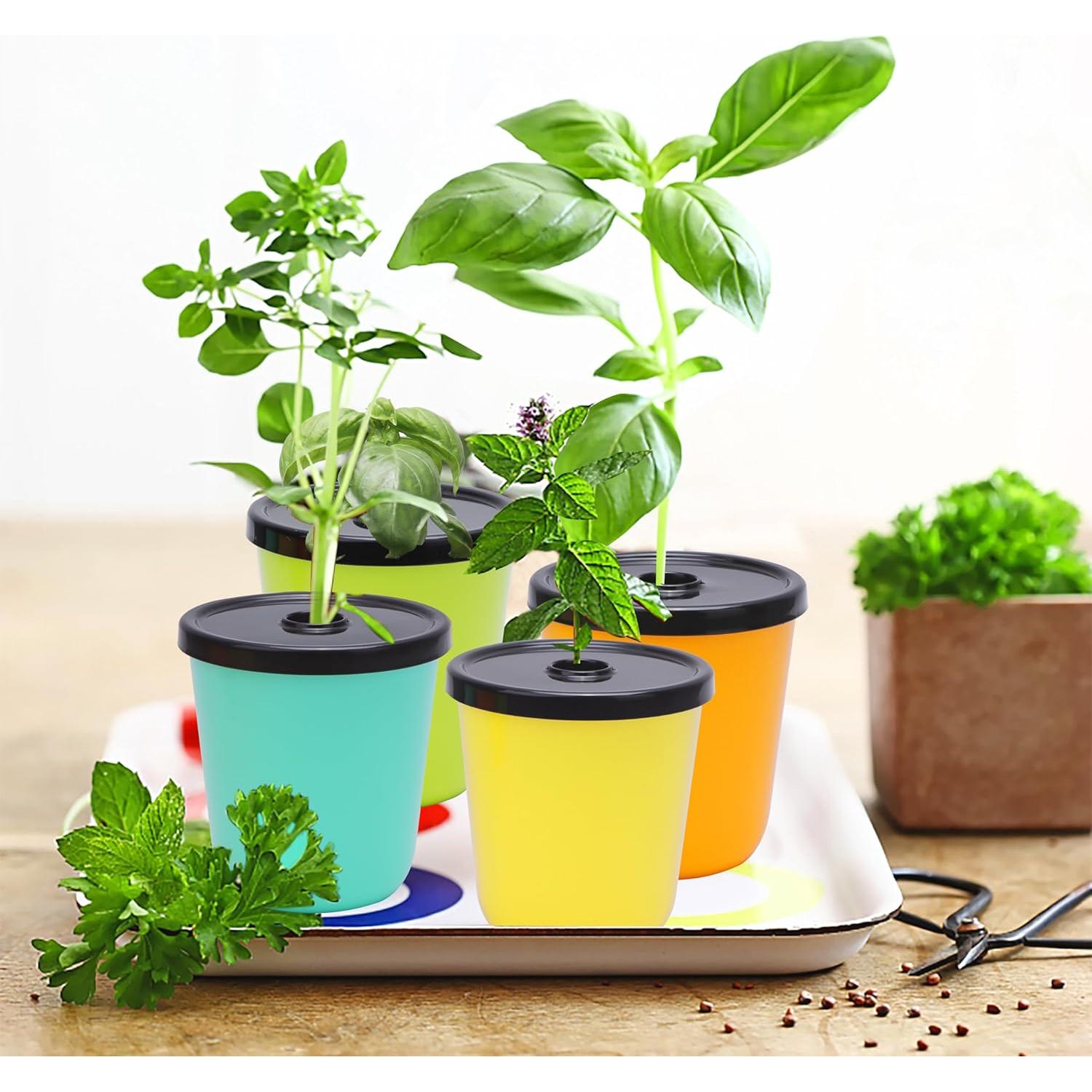 Kit de Macetas Hidropónicas Kiicii 8 Macetas y 24 Esponjas