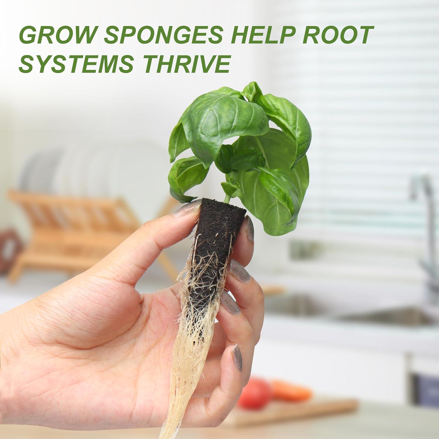 Kit de Macetas Hidropónicas Kiicii 8 Macetas y 24 Esponjas