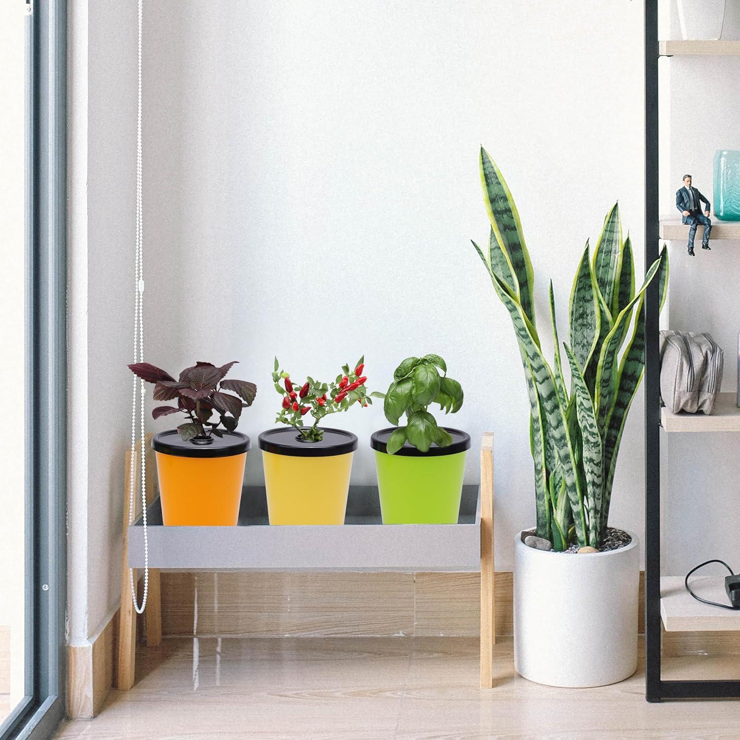 Kit de Macetas Hidropónicas Kiicii 8 Macetas y 24 Esponjas