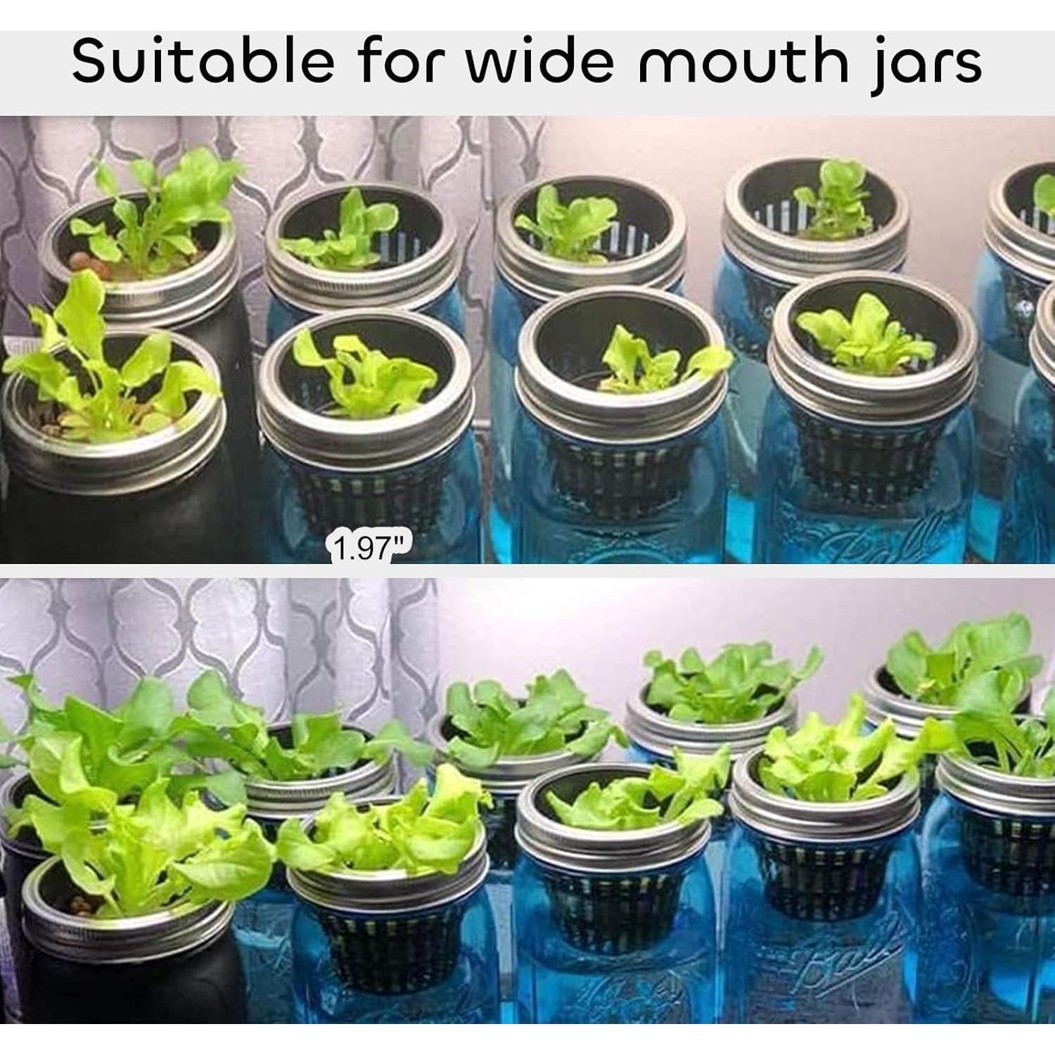 Macetas de Malla GROWNEER 5 cm 50 Pcs Hidropónicas