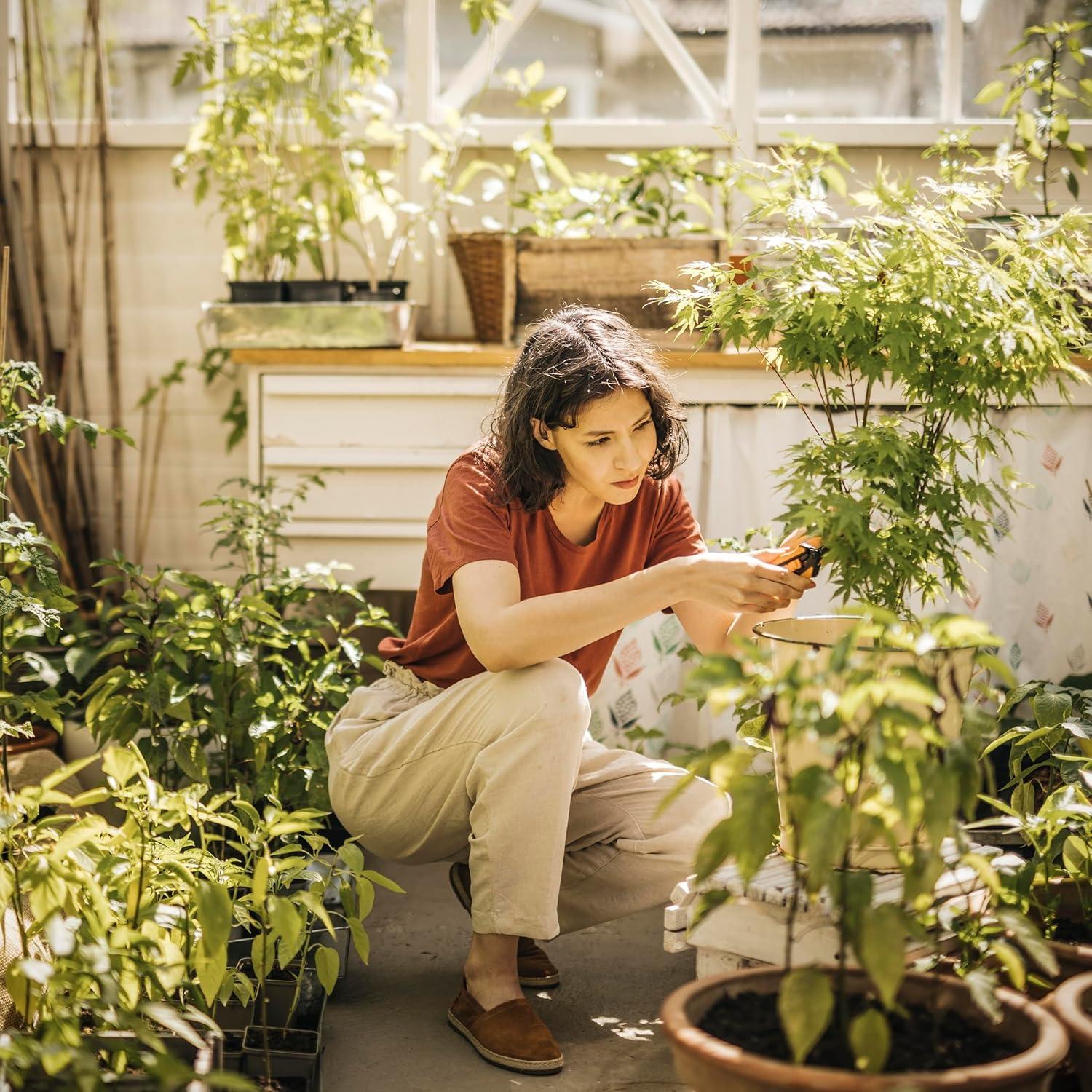 Tijeras de podar Fiskars - Paquete de 2 - Acero antiadherente