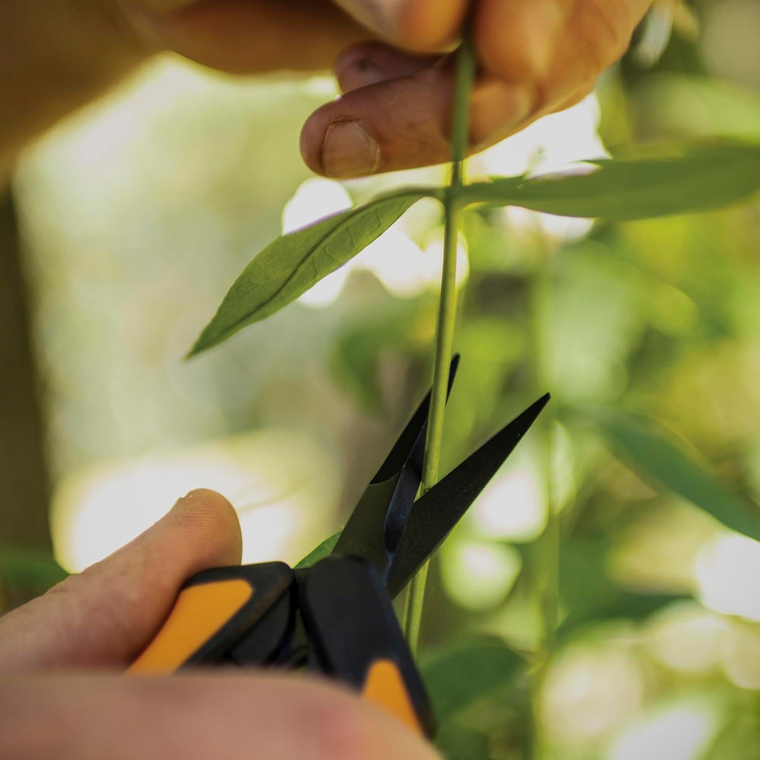 Tijeras de podar Fiskars - Paquete de 2 - Acero antiadherente