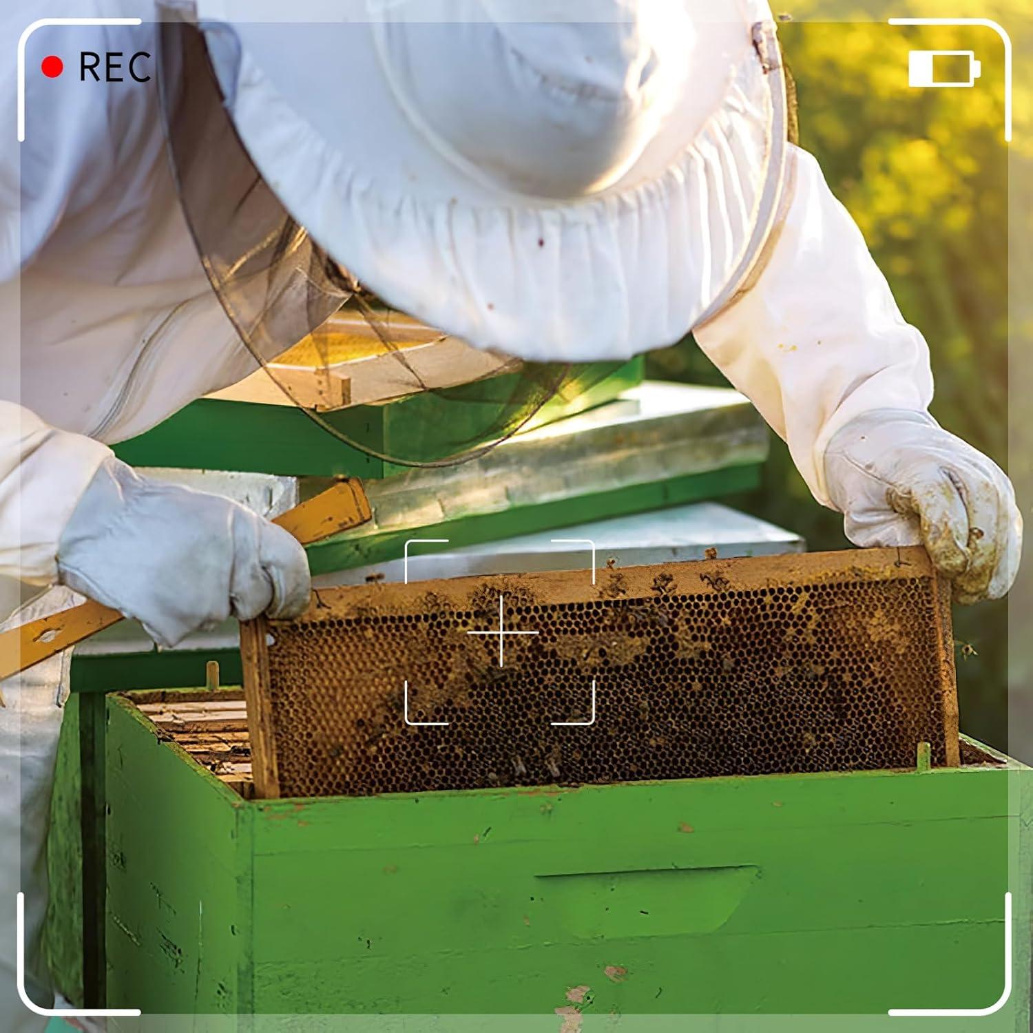 Guantes de Apicultura ANPHSIN de Piel de Cabra Largos