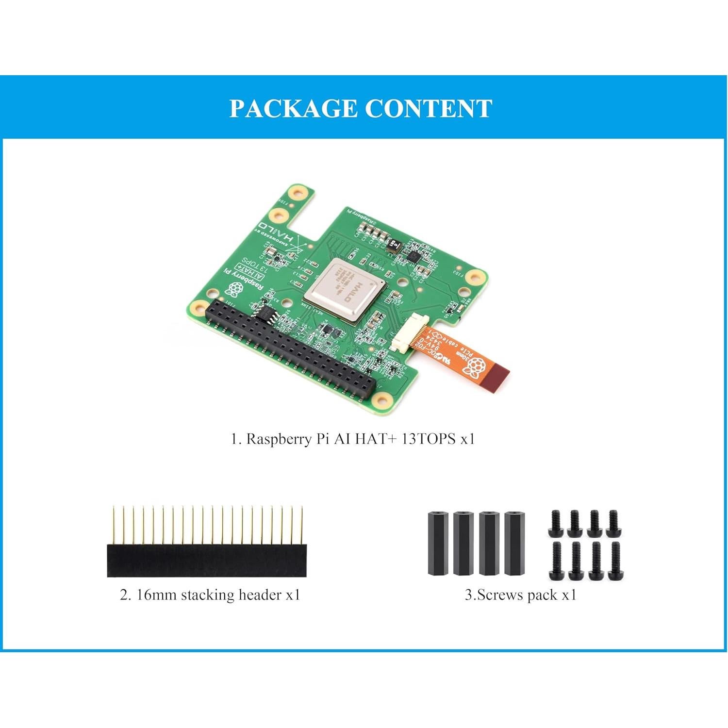 Official RPi AI HAT+, Build-in 13 Tops Hailo-8 AI Accelerator to Quickly Build A Wide Range of AI-Powered Applications