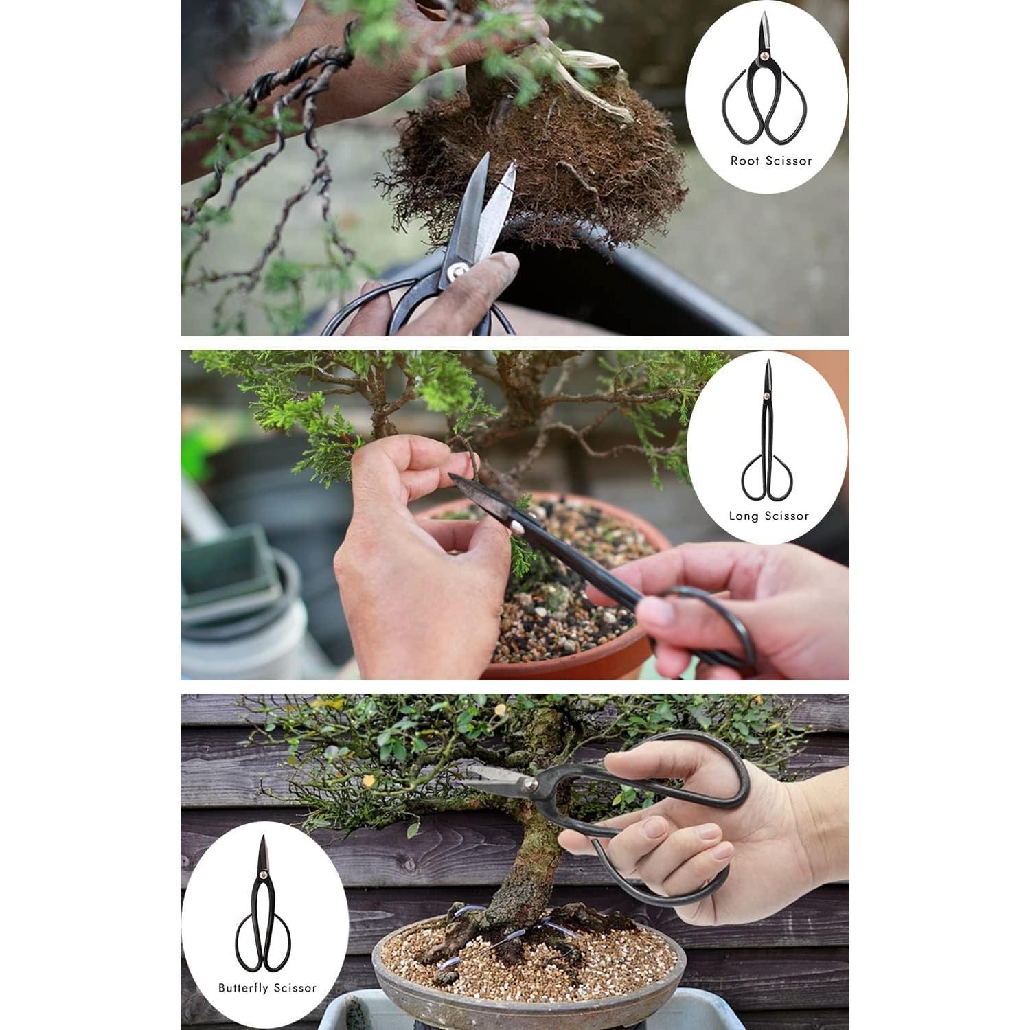 Kit de Herramientas para Bonsai PEEORNT 22 Pcs Acero Carbono