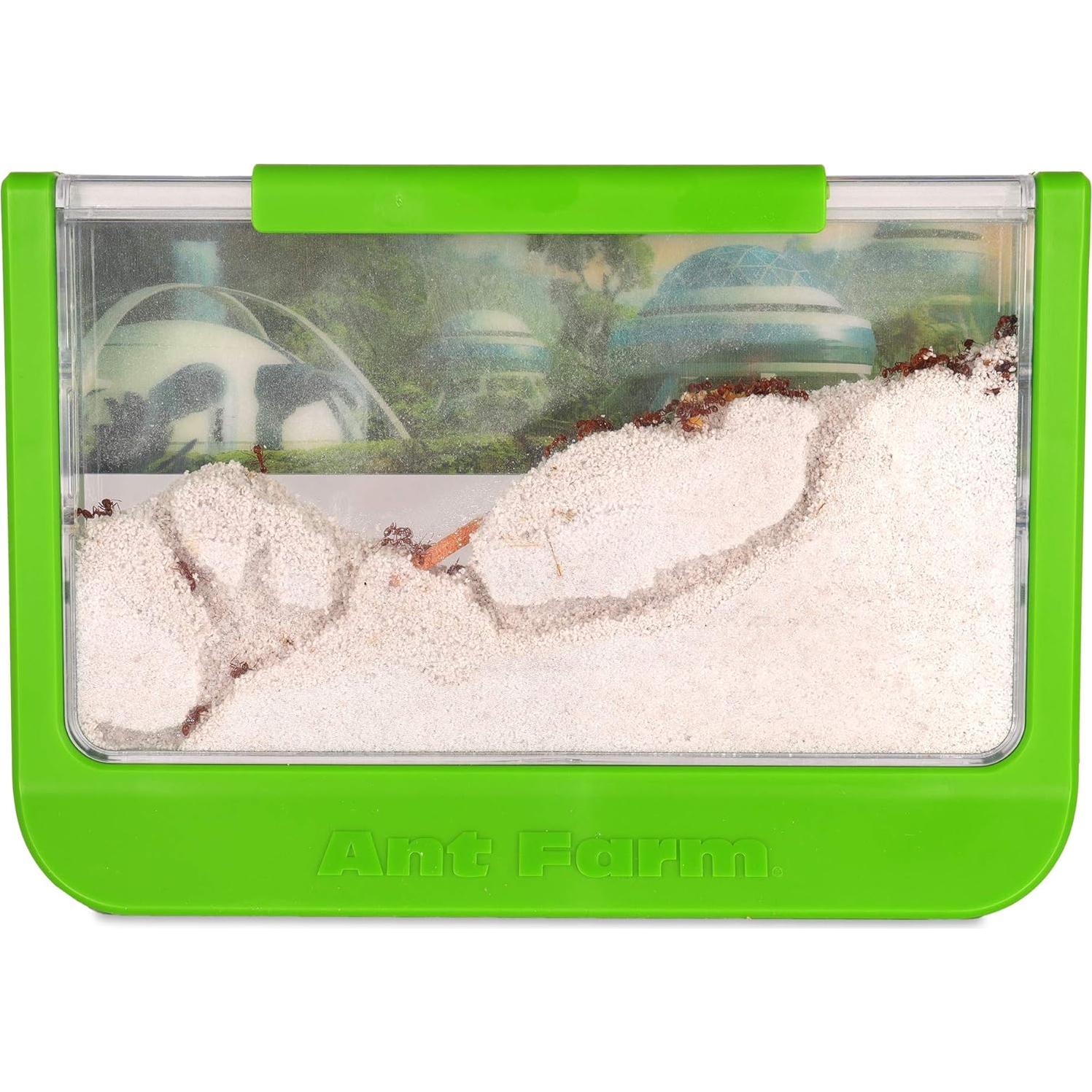 Granja de Hormigas Tío Milton - Juguete STEM Verde 22.86x15.6cm