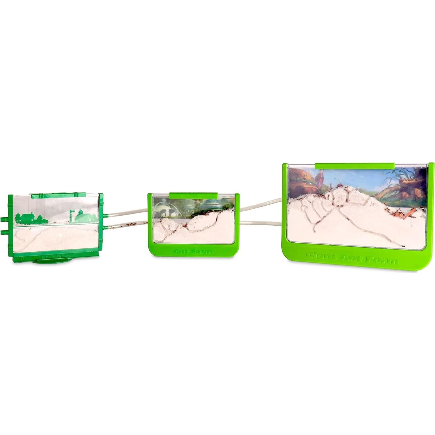 Granja de Hormigas Tío Milton - Juguete STEM Verde 22.86x15.6cm