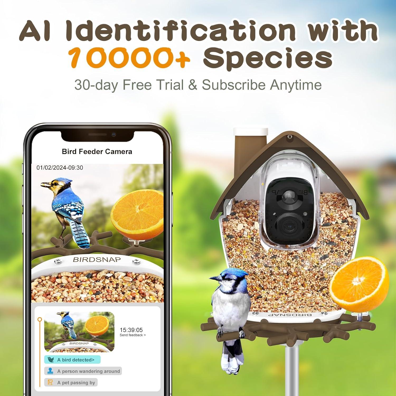 Comedero para Aves birdsnap MON200 con Cámara 2K y 32GB