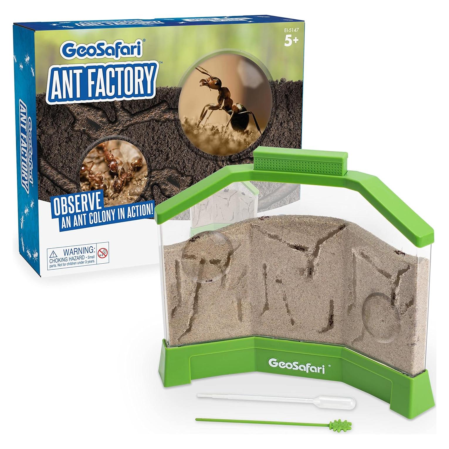 Fábrica de Hormigas GeoSafari Educational Insights con Arena