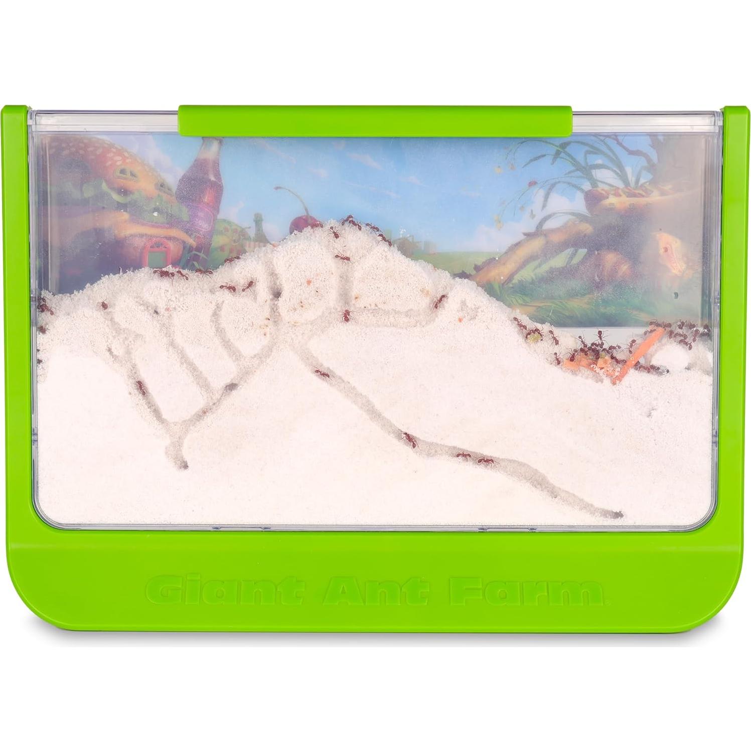 Granja de Hormigas Gigante Uncle Milton - Área Grande - Educativa