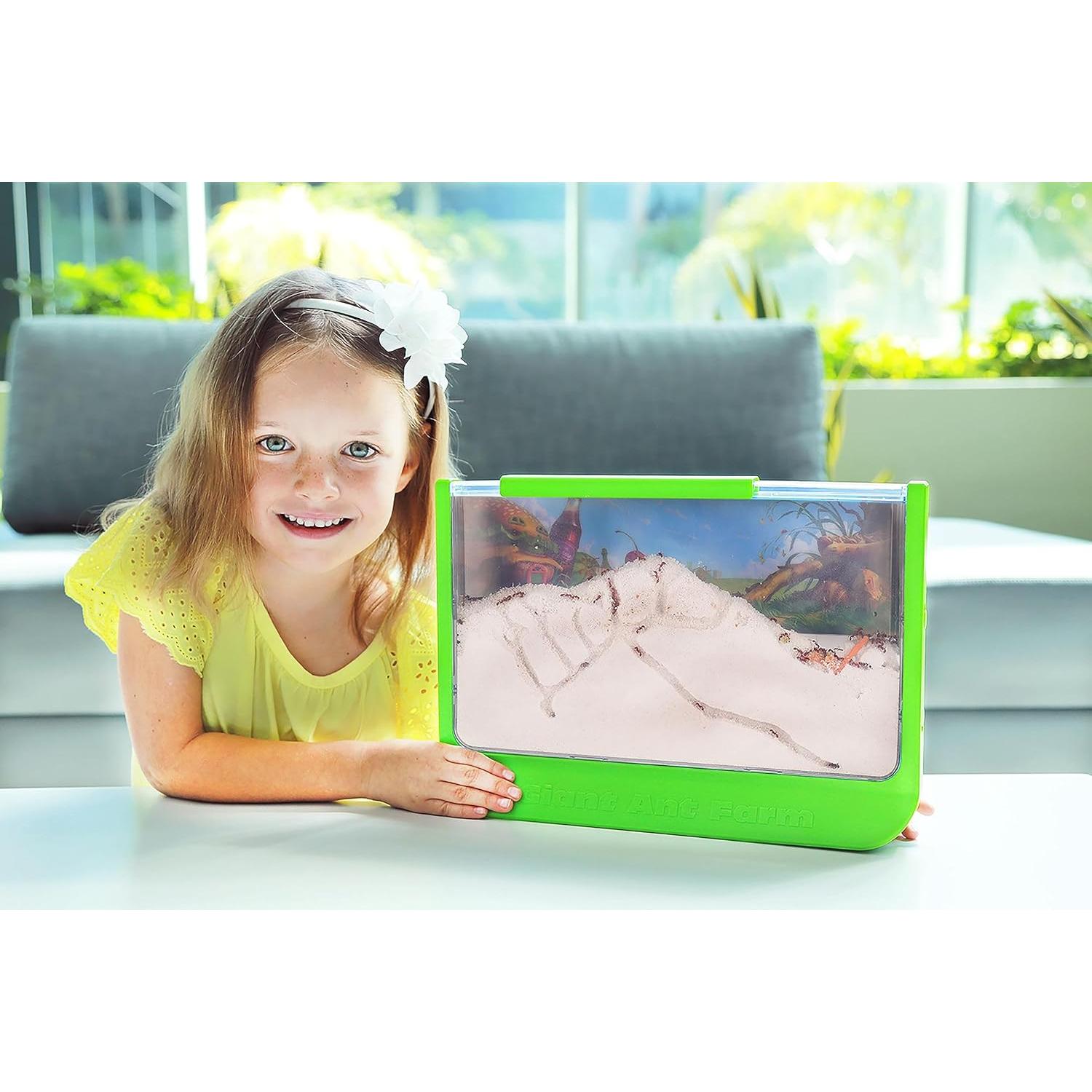 Granja de Hormigas Gigante Uncle Milton - Área Grande - Educativa