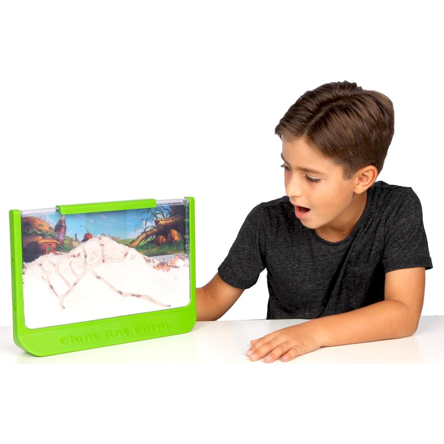 Granja de Hormigas Gigante Uncle Milton - Área Grande - Educativa