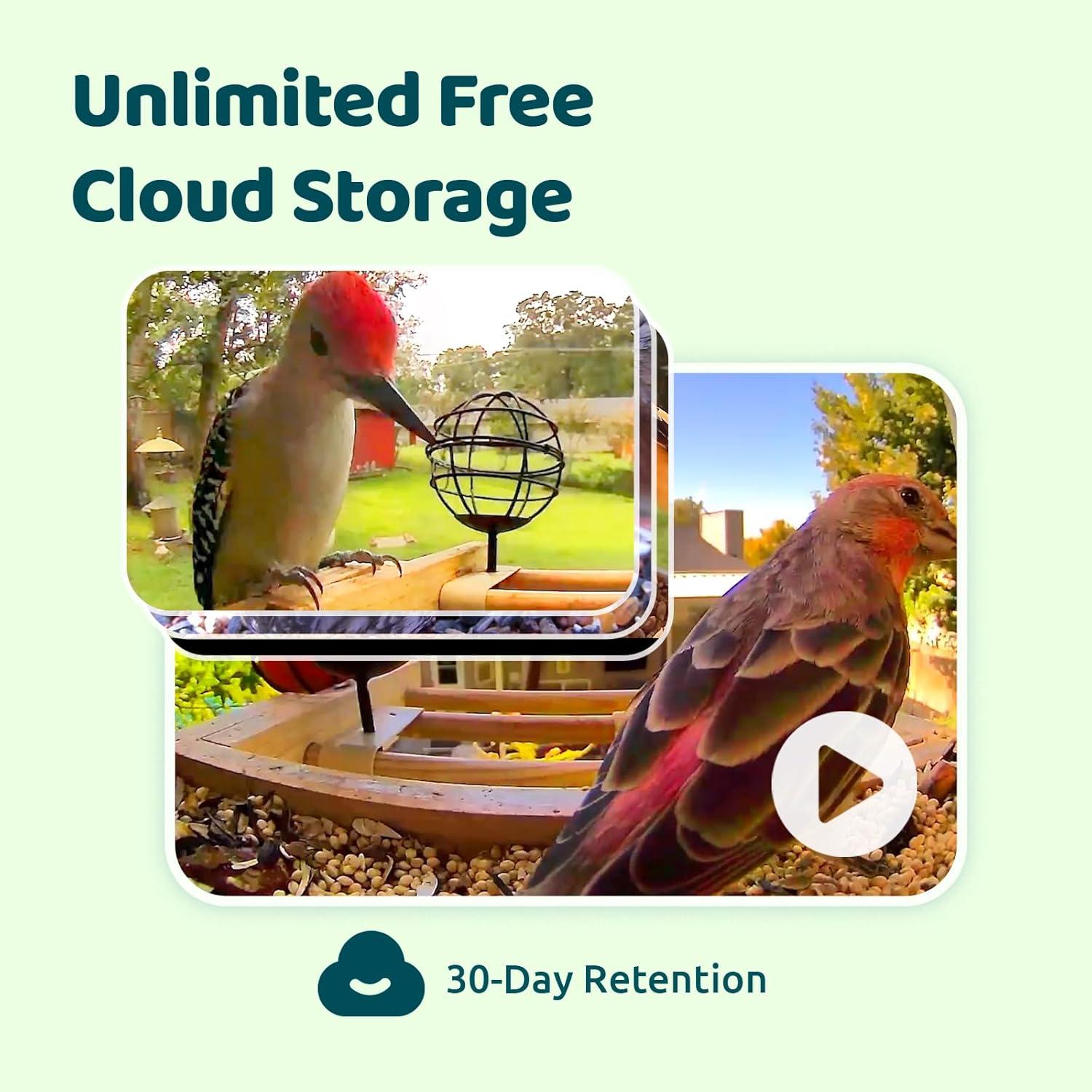 Comedero Inteligente Birdfy AI de Bambú Solar 24,89 cm