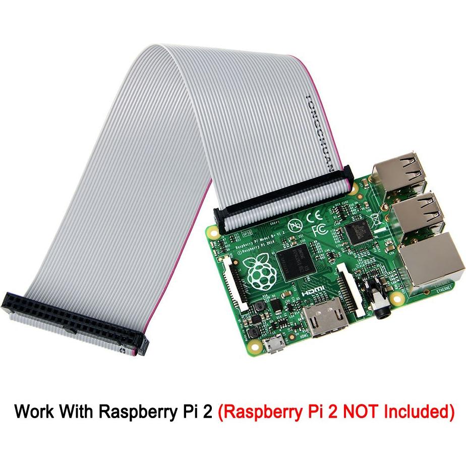 5 Cables de Cinta GPIO Plano 20cm 40 Pines Gowoops