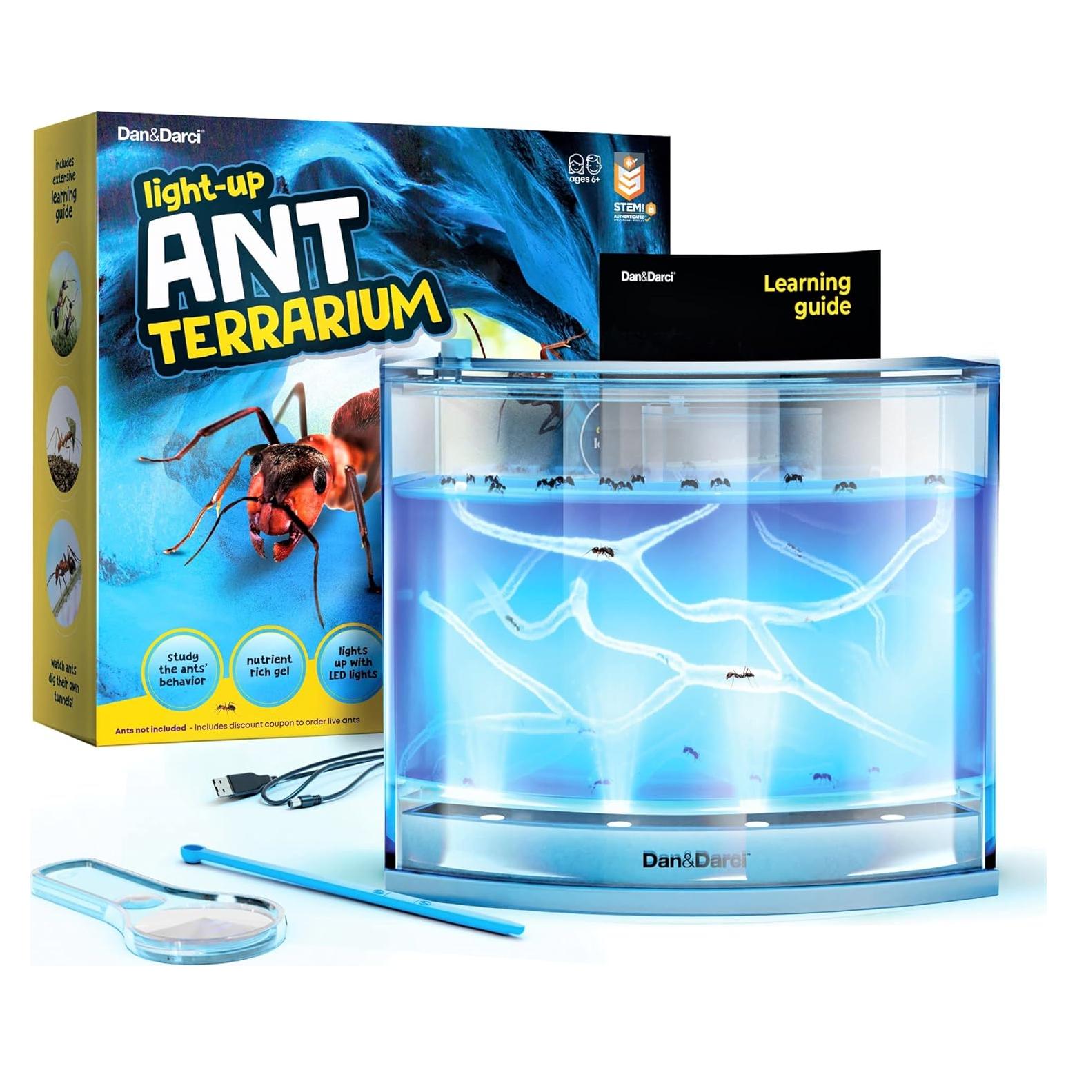 Terrario de Hormigas LED Dan&Darci - Gel Brillante y Libro