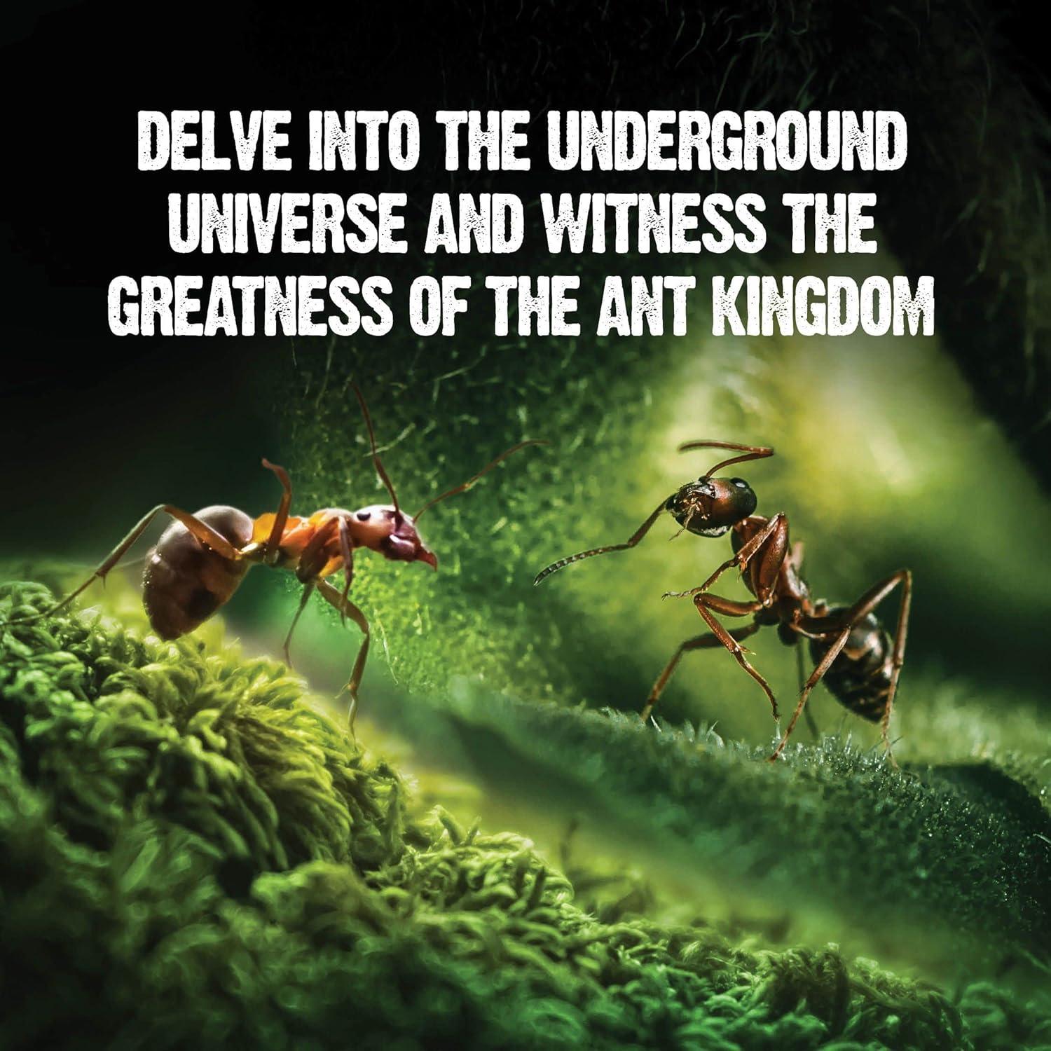 Terrario de Hormigas LED Dan&Darci - Gel Brillante y Libro