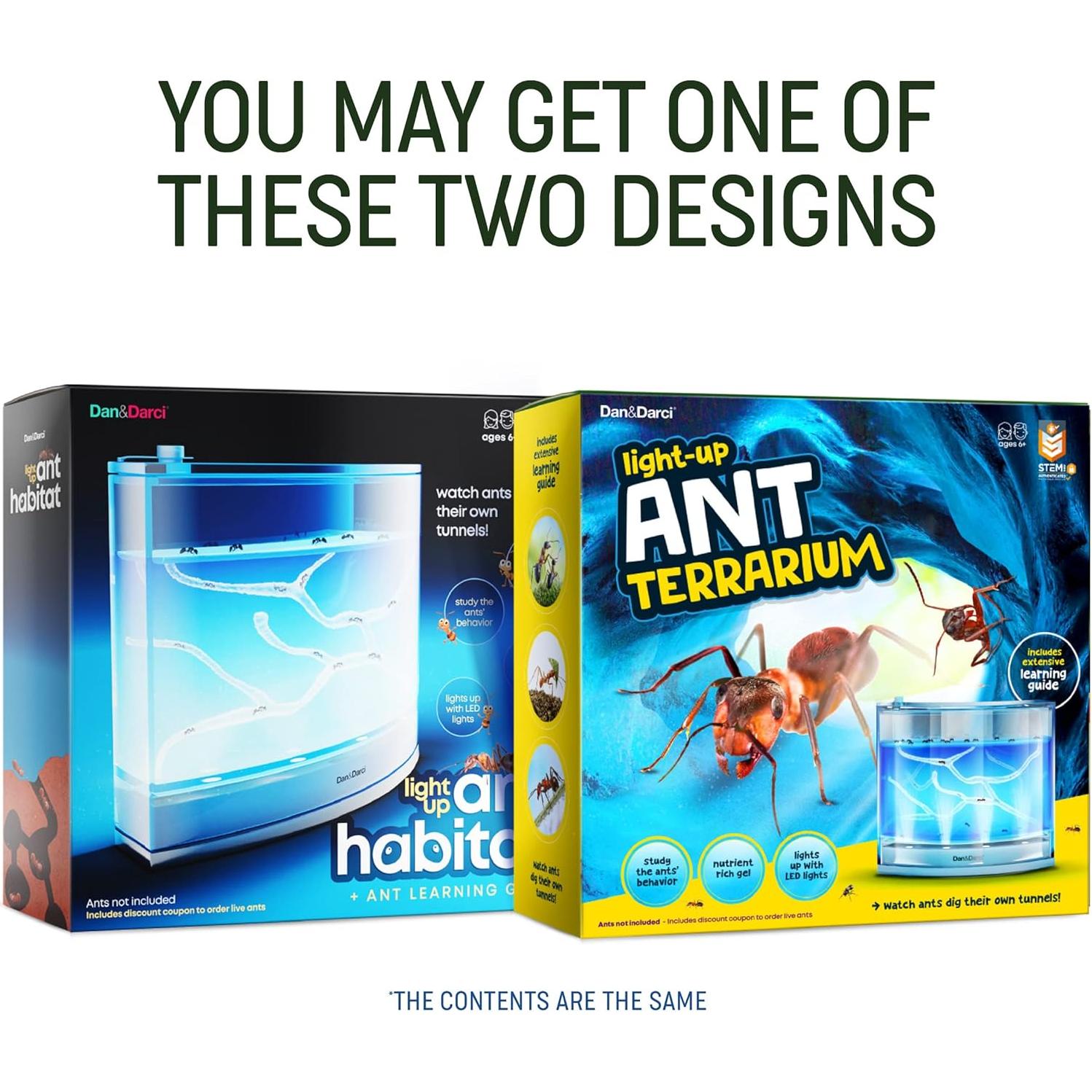 Terrario de Hormigas LED Dan&Darci - Gel Brillante y Libro