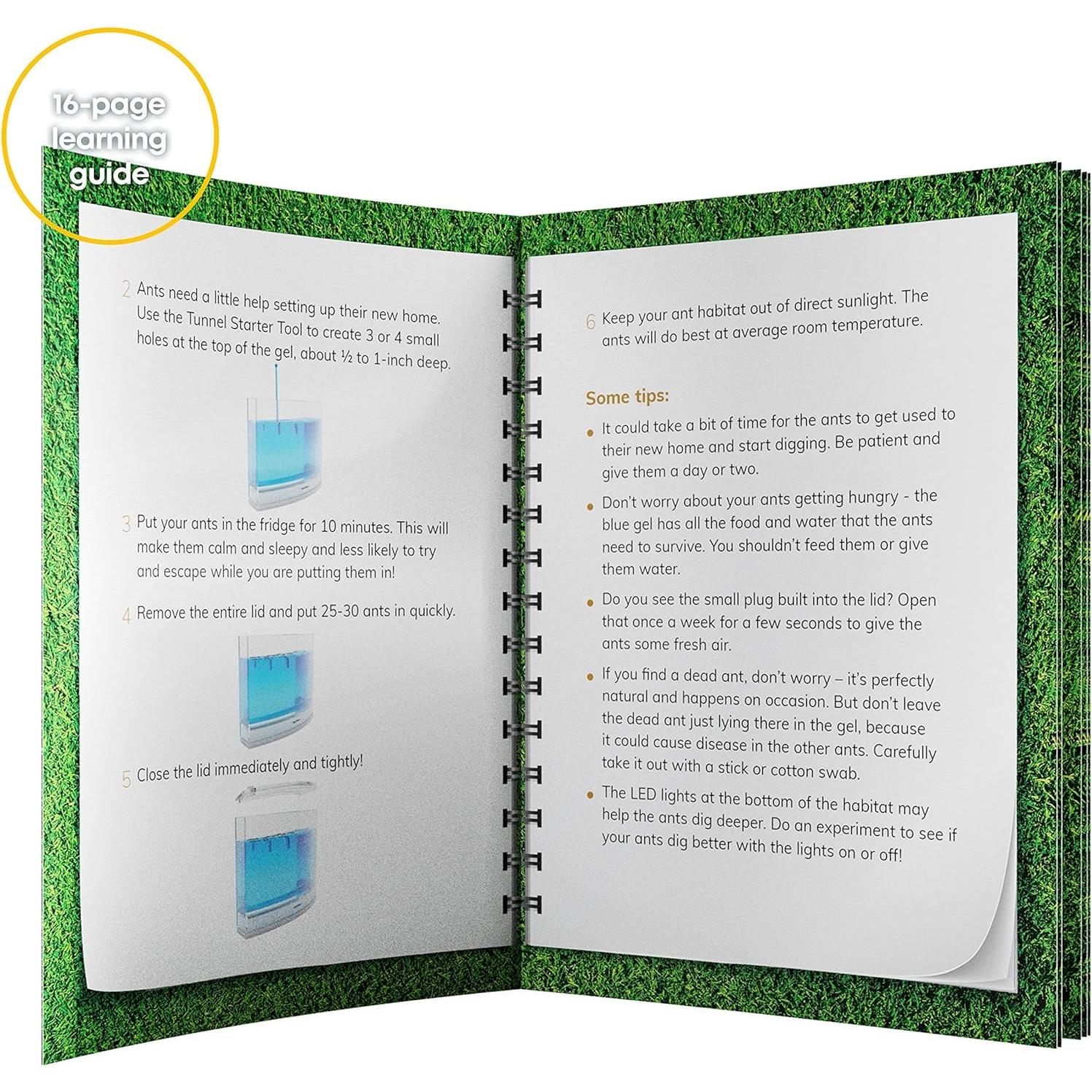 Terrario de Hormigas LED Dan&Darci - Gel Brillante y Libro