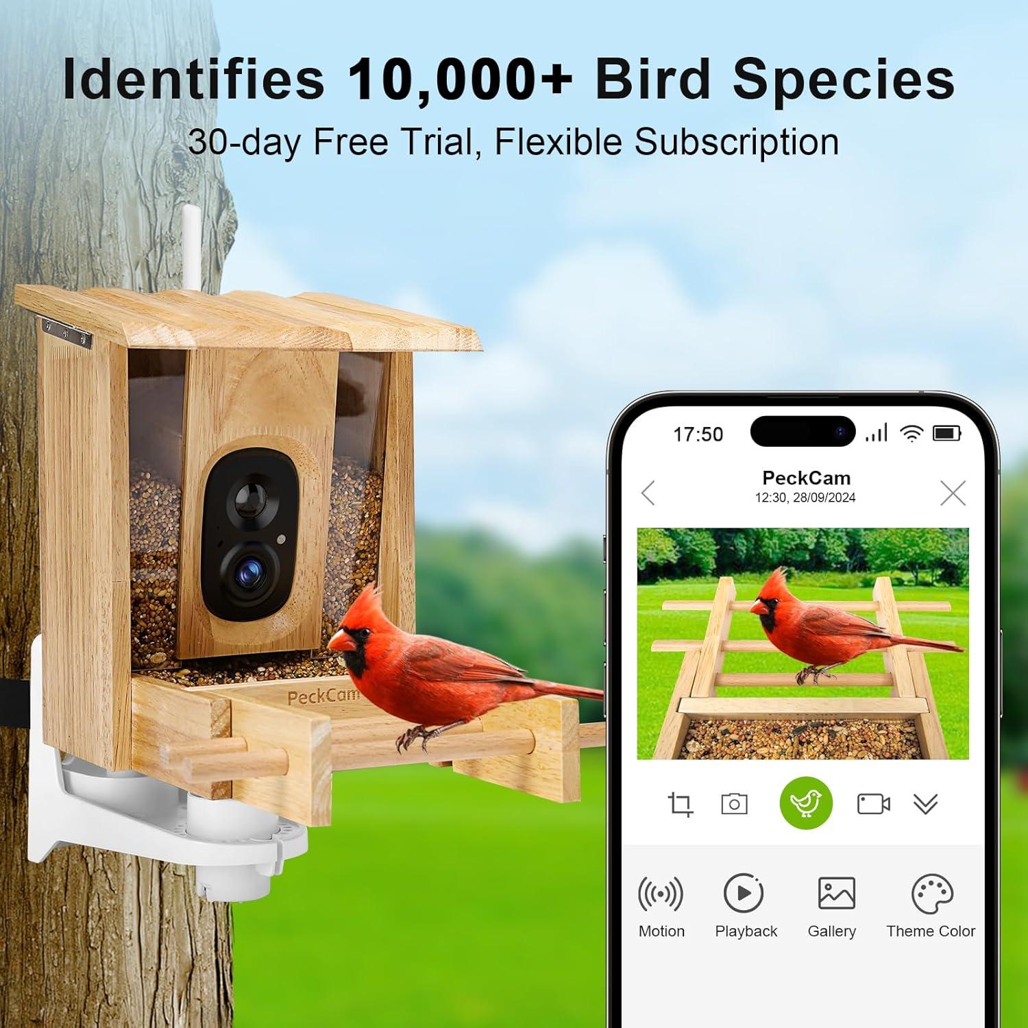 Comedero para Aves PeckCam® con Cámara Solar 1080P