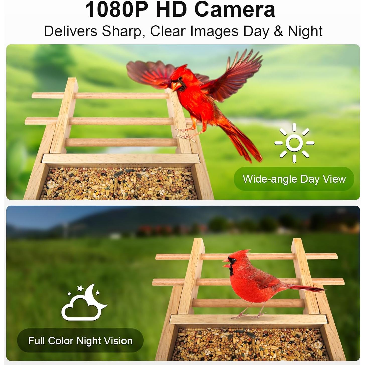 Comedero para Aves PeckCam® con Cámara Solar 1080P