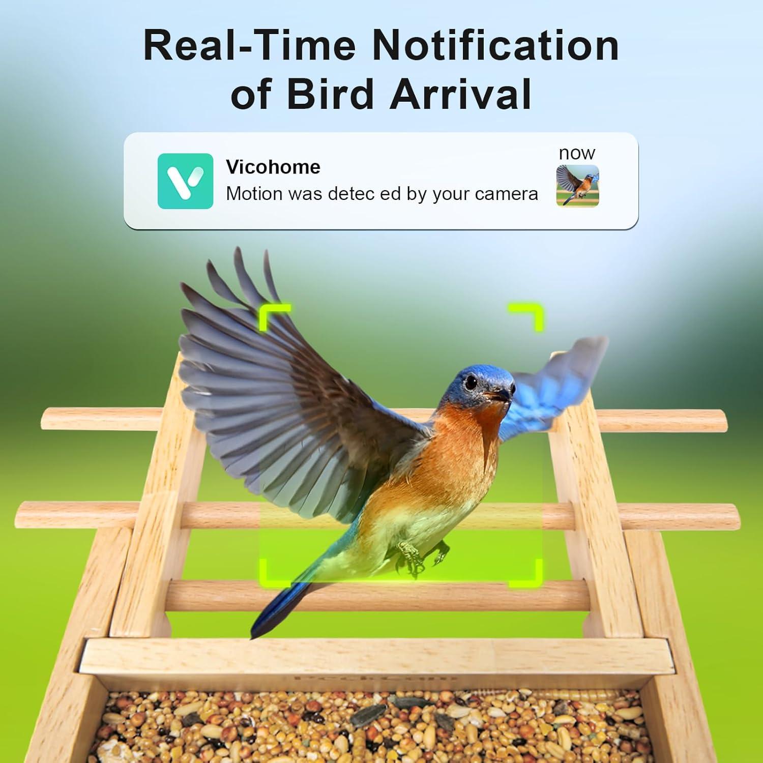 Comedero para Aves PeckCam® con Cámara Solar 1080P