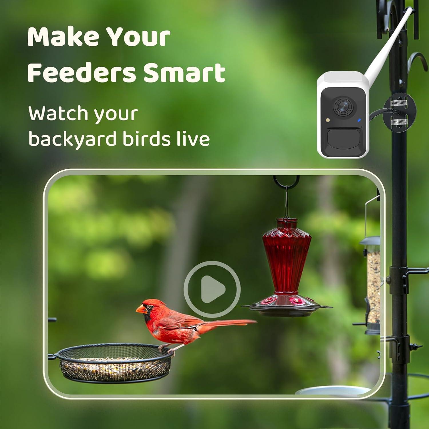 Cámara Inteligente NETVUE Birdfy Lite para Comederos de Aves