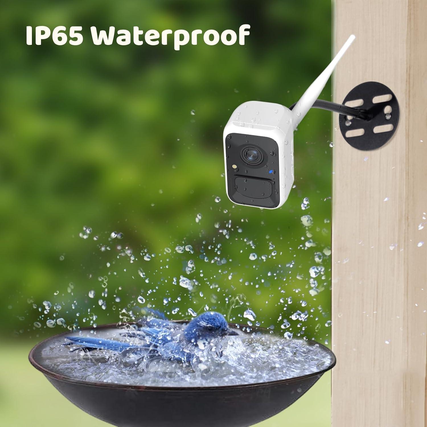 Cámara Inteligente NETVUE Birdfy Lite para Comederos de Aves