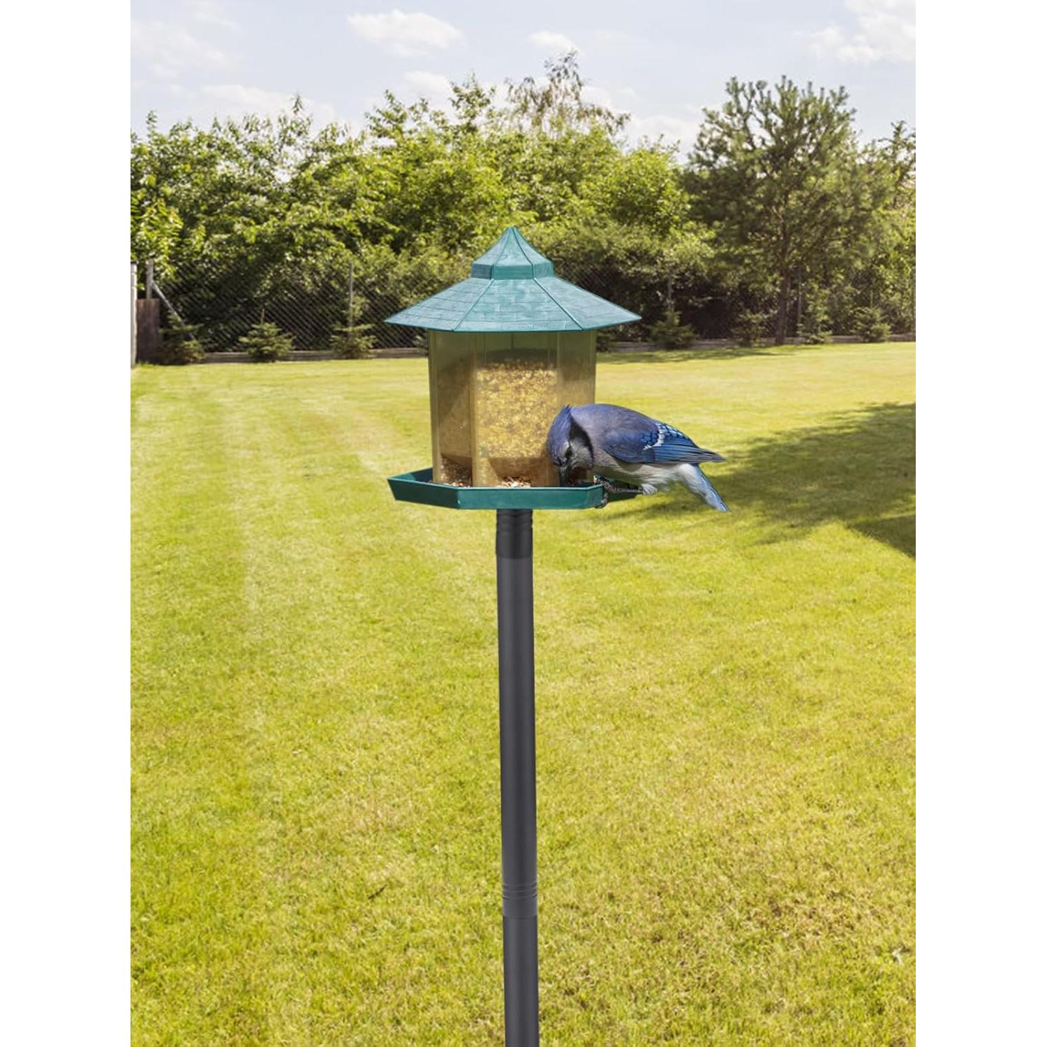 Poste para Comedero de Aves PAMASE 172,72 cm Ajustable