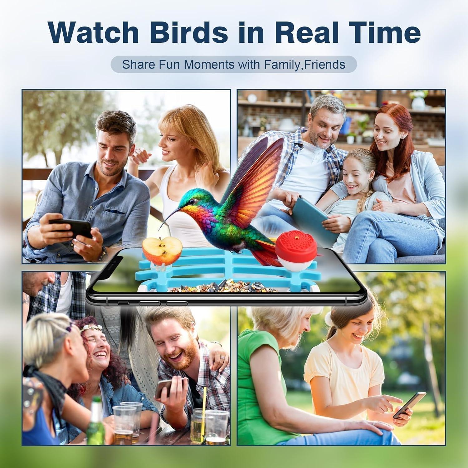 Comedero para Aves AUTGA con Cámara 2K HD y Panel Solar