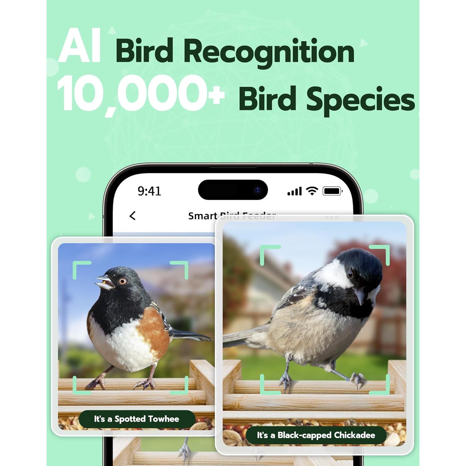 Comedero Inteligente para Aves VISIOGEAR con Cámara HD