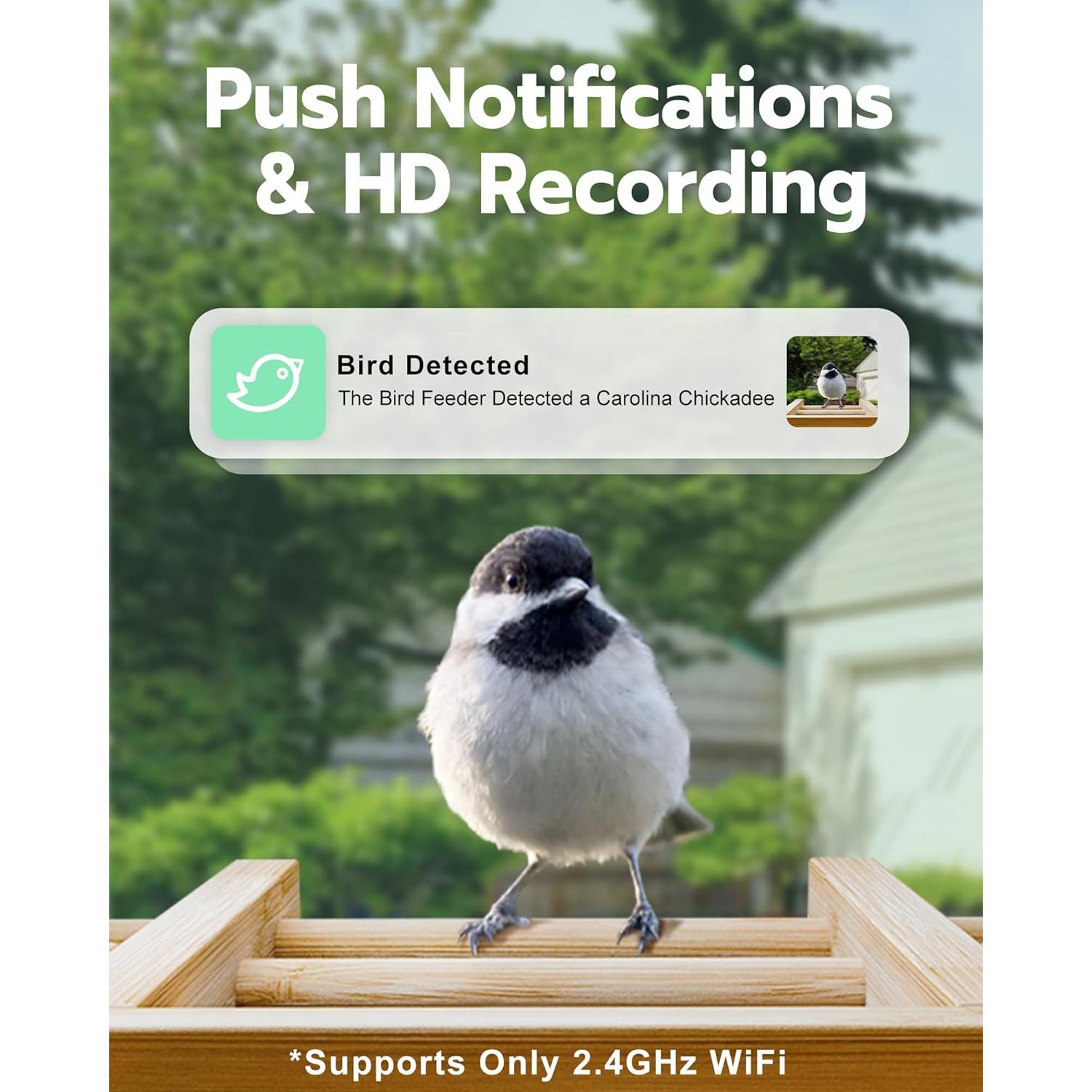 Comedero Inteligente para Aves VISIOGEAR con Cámara HD