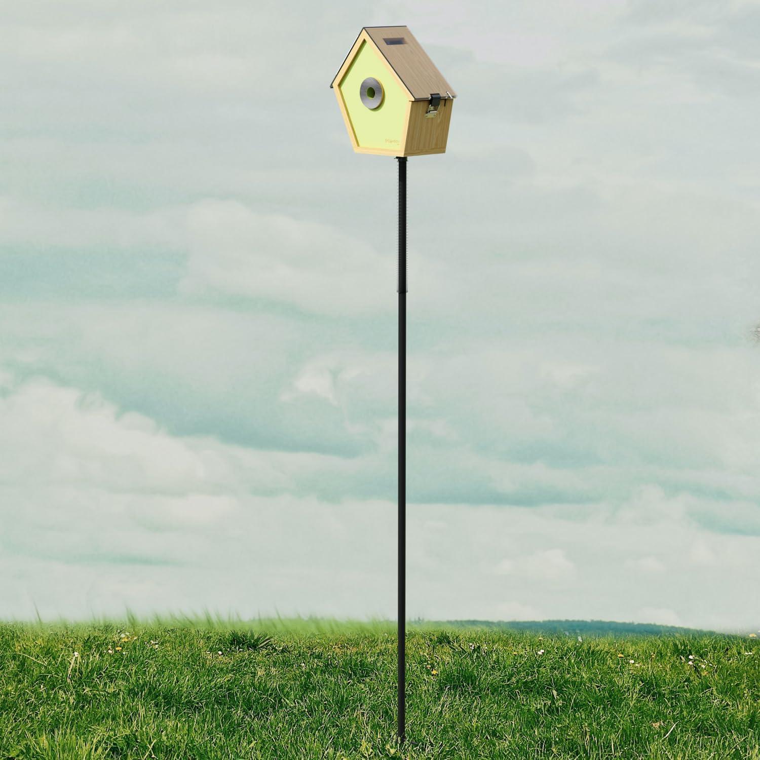 Soporte de Suelo RELI 198 cm para Comedero de Aves