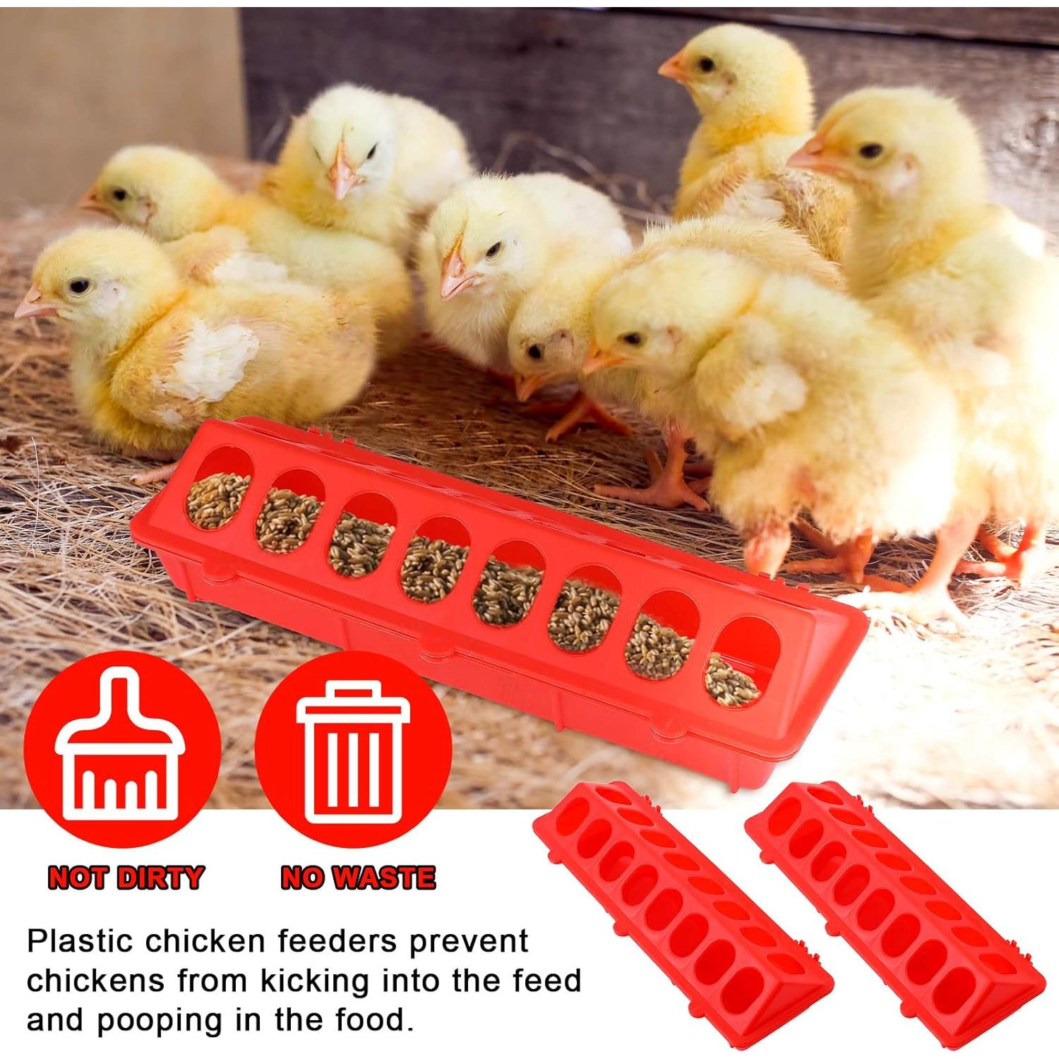 4 Comederos de plástico con tapa abatible CHENGU para aves