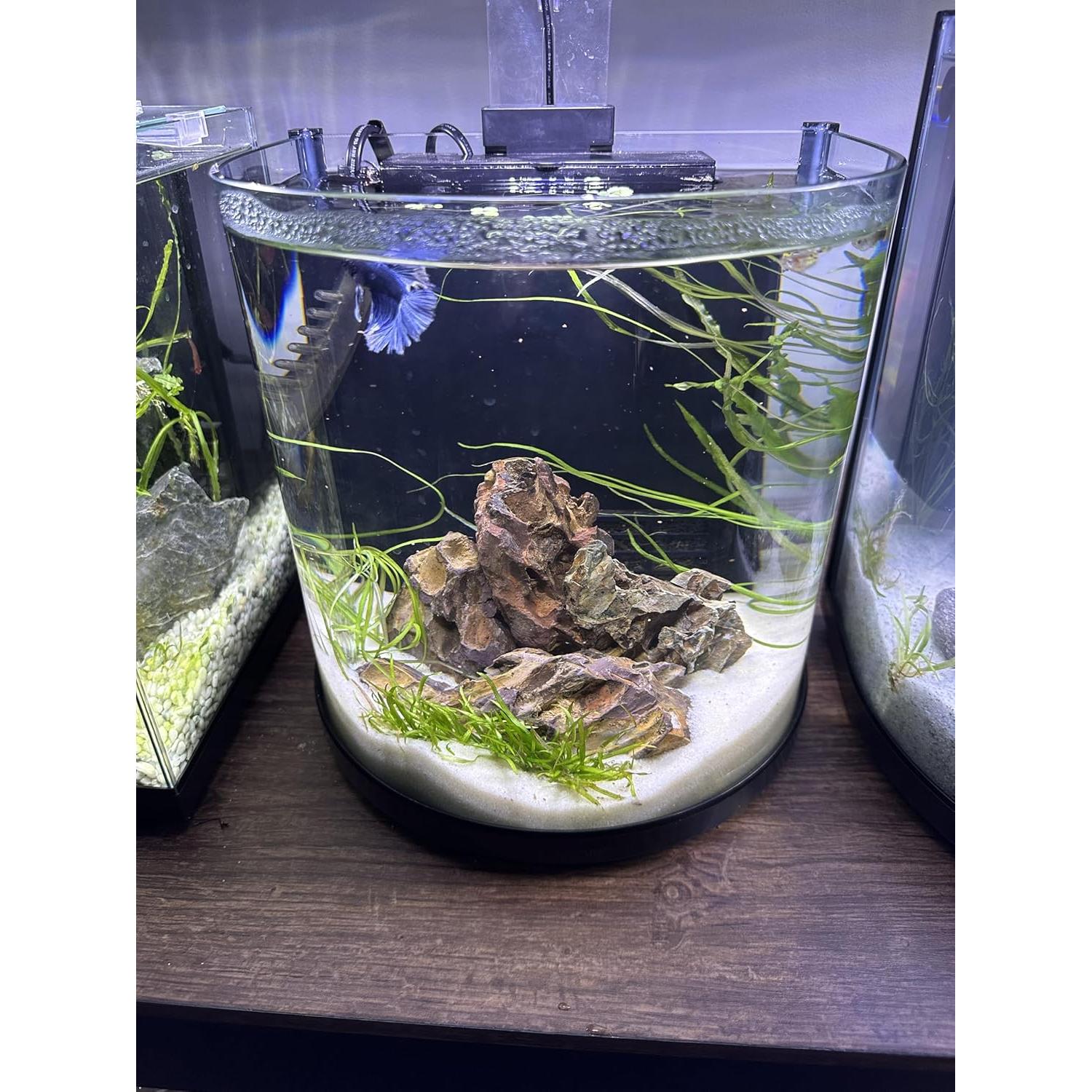 Sustrato Arena Blanca Natural Pisces USA 4.49 kg Acuarios