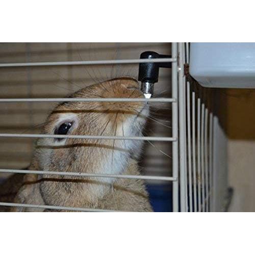 Bebedero Automático RentACoop 1L para Mascotas Pequeñas