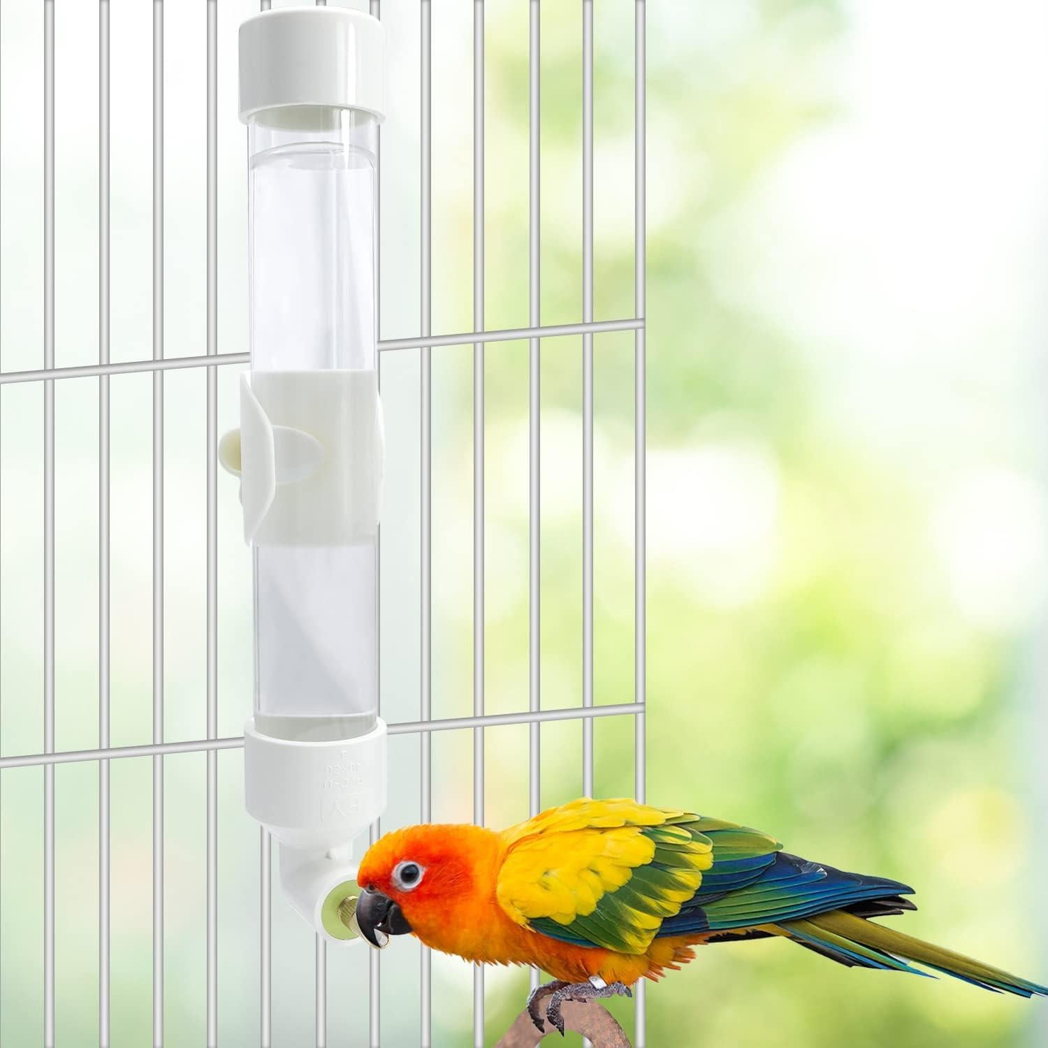 Dispensador de Agua Automático Wontee Mediano para Aves
