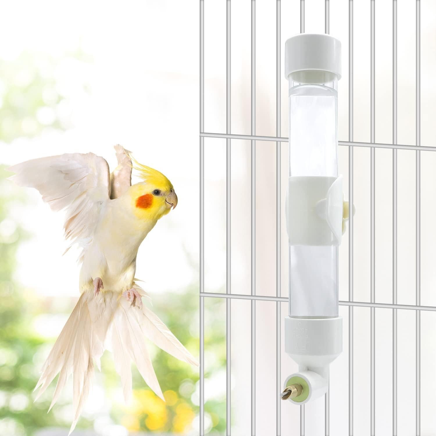 Dispensador de Agua Automático Wontee Mediano para Aves