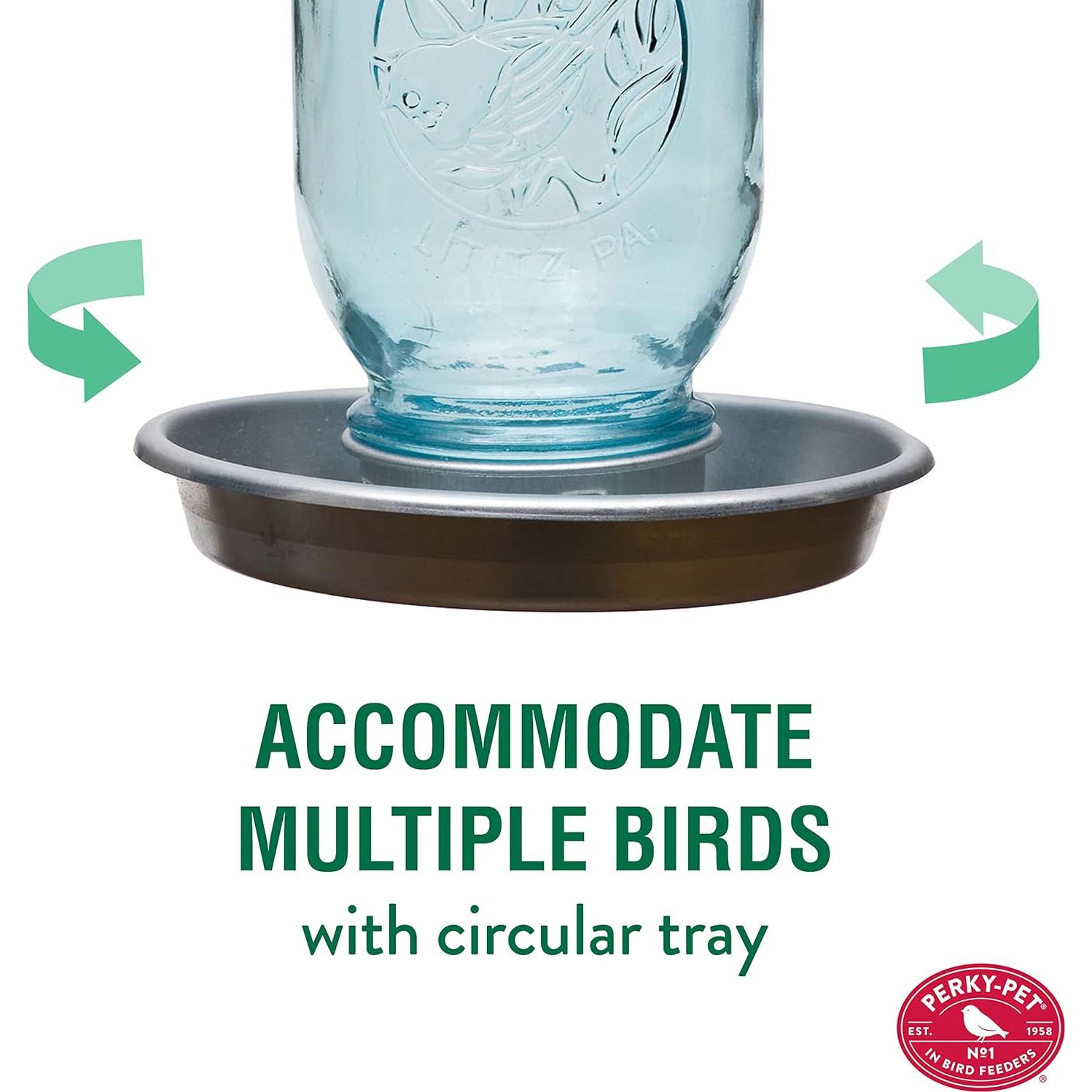 Dispensador de Agua para Aves Silvestres Perky-Pet 783 Azul