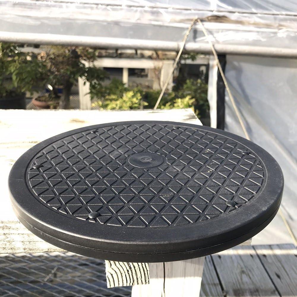 Torno de Bonsai Mini Poderoso BonsaiOutlet 31.75 cm 90.72 kg